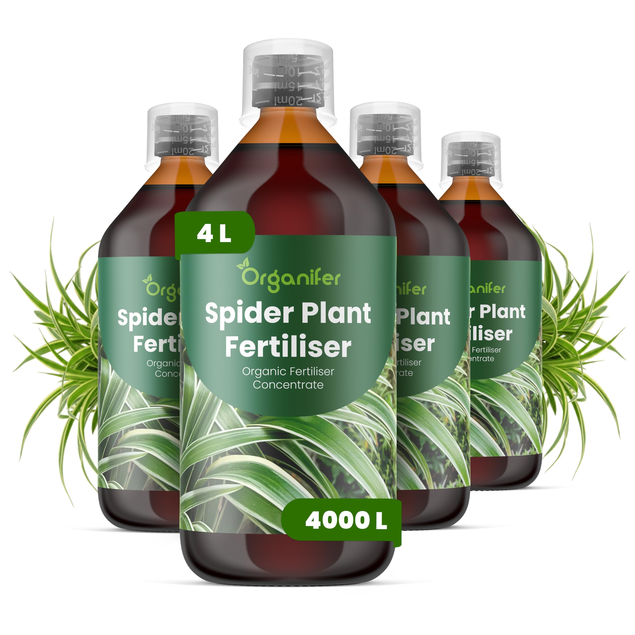 Fertilizzante Liquido Per Pianta Ragno - 4x1L - NPK 2-1-8