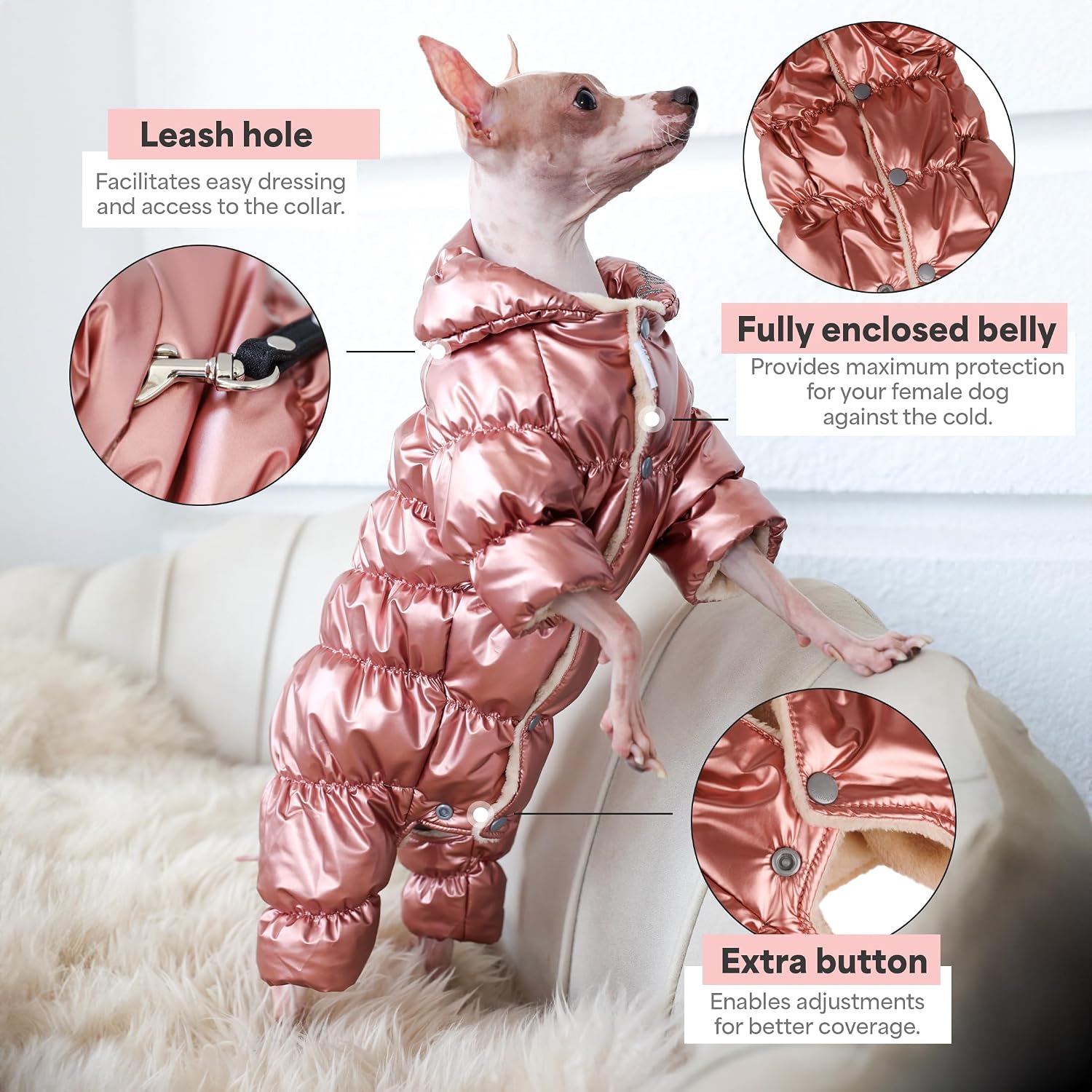Winter Coat for Female Pups With Full Belly Coverage, Girl Clothes, Snow Jacket, Snowsuit for Cold Weather, Ideal for Small Medium Dogs (Medium)