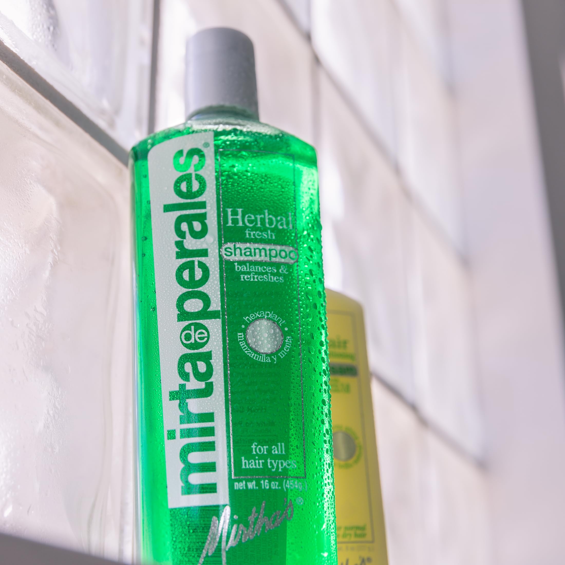 Amazon.com : Mirta de Perales Herbal Shampoo for Normal to Oily