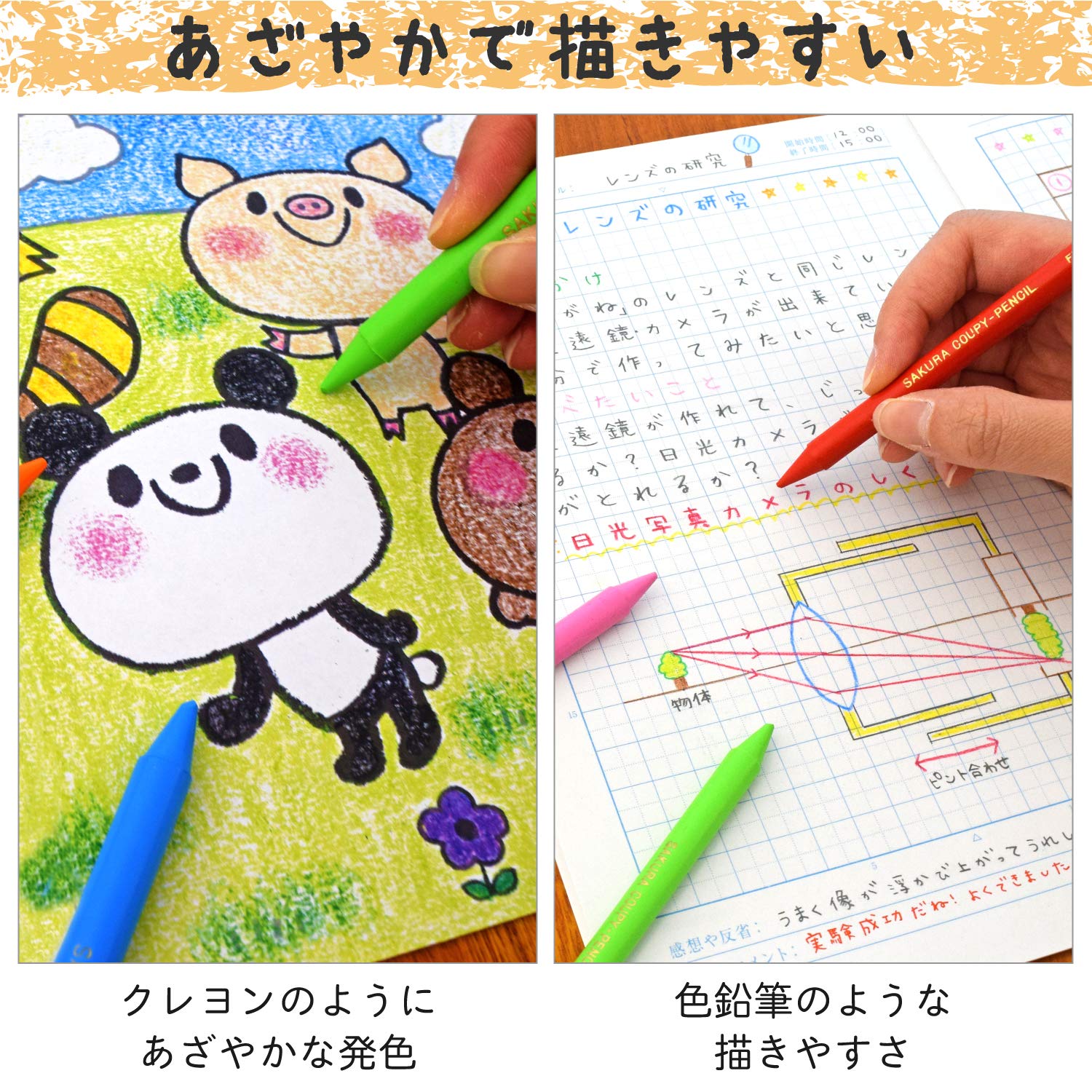 Amazon | サクラクレパス 色鉛筆 クーピー 缶入 24色 5個 FY24(5
