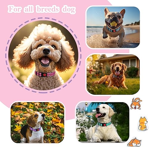 Miniatura 5 de Paquete de 2 collares reflectantes para perros grandes, hembras y machos, collares de nailon para cachorros, perros pequeños y medianos con hebilla