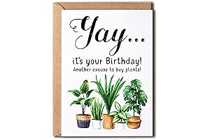Happy Birthday Greeting Card - Plant Lady Birthday Card