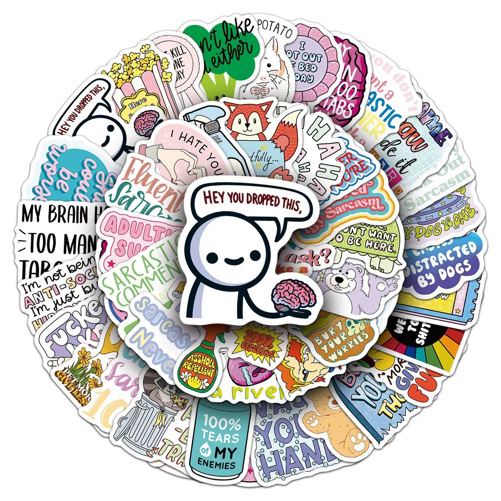Sarcastic Stickers for Laptop(50 PCS),Gift for Children Teens Adults Girl Boys,Funny Waterproof Stickers for Skateboard,Bike,Phone,Computer,Luggage Water Bottle Guitar Motorcycle Suitcase