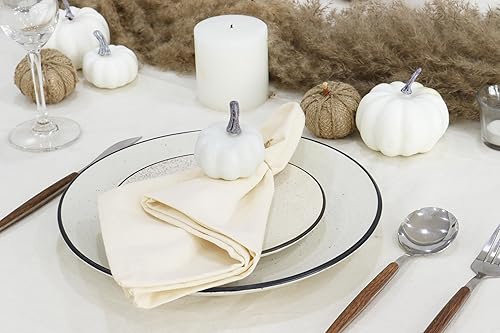 Miniatura 6 de PurpleEssences Juego de 12 servilletas de tela 100% algodón de 18 x 18 pulgadas, suaves, duraderas, lavables, ideales para fiestas de granja,