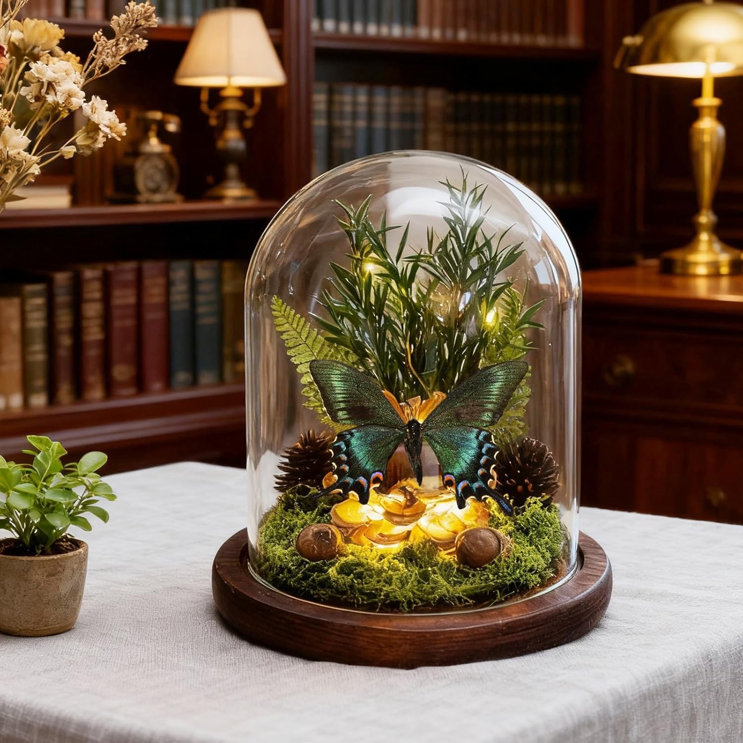 Glass Taxidermy Butterfly Shadow Box, Butterfly Gifts for Women Girls with Glass Cover, Light Up Butterfly Decor for Bedroom Office Living Room Desk (Not Include Battery) Style 3