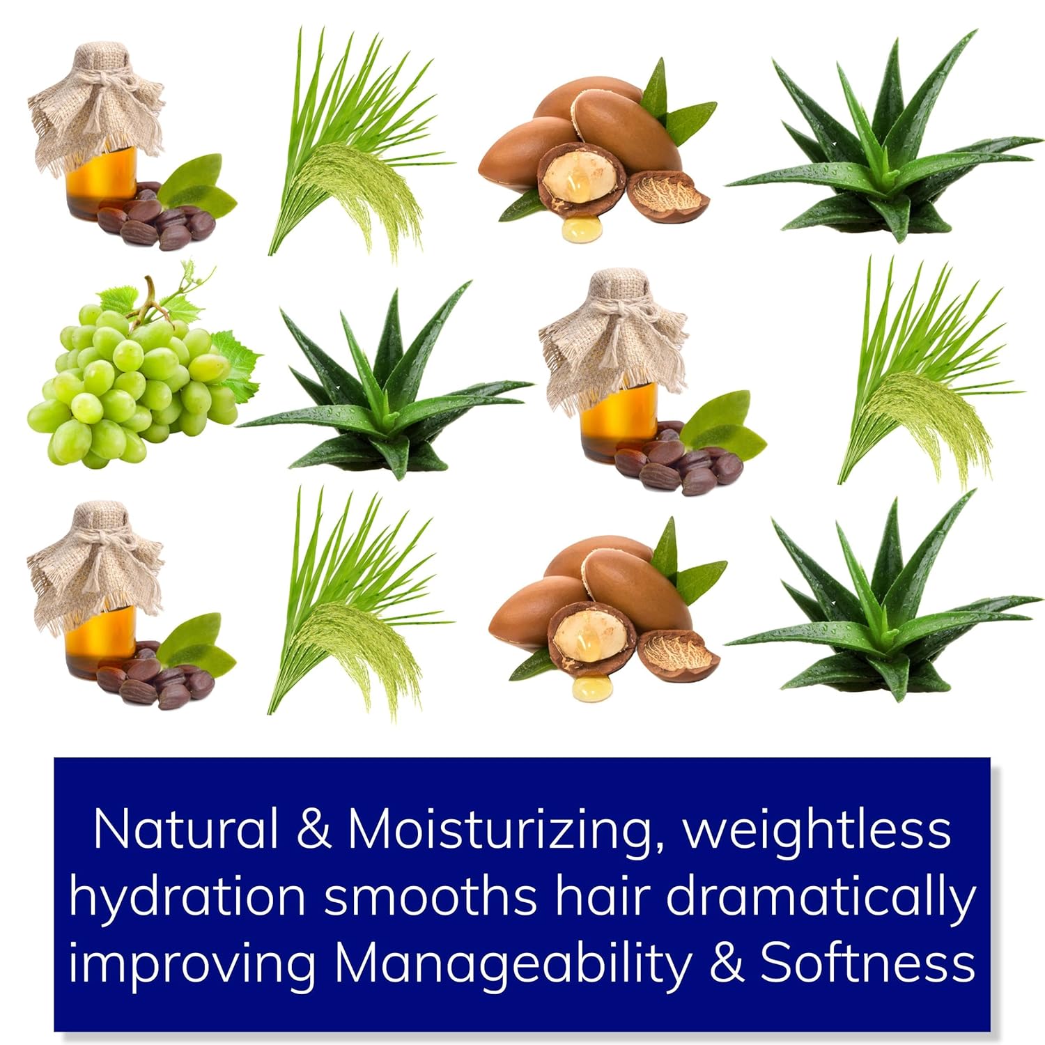 NEW Sulfate-Free Shampoo | Handcrafted with High-Performing Natural & Clean Ingredients | Remove Buildup, Improve Softness, Increase Volume & Shine | Color-Safe | For All Types of Hair | Men & Women