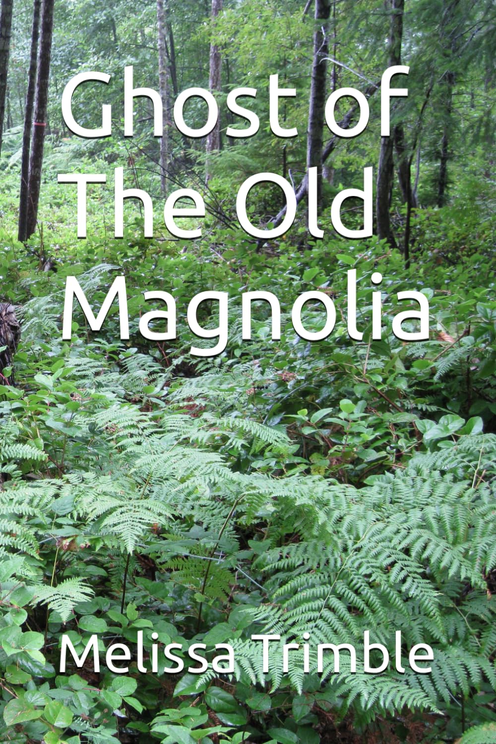 Ghost of The Old Magnolia