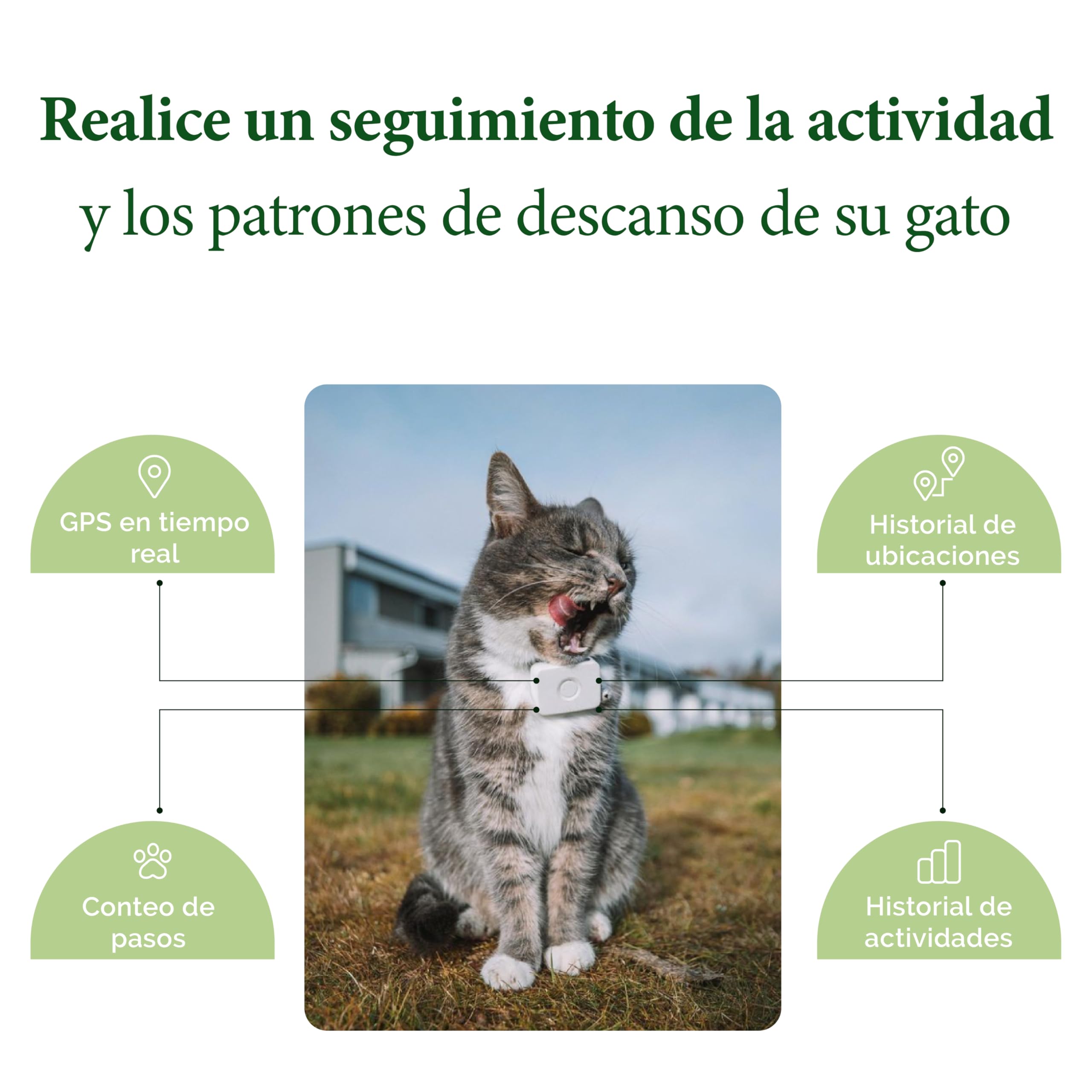 Lilcat 2 GPS y rastreador de Actividad para Gatos, Impermeable, Ligero, a Prueba de Golpes, Seguimiento GPS en Vivo e historial de ubicación, Contador de Pasos y Monitor de Actividad, Fabricado en