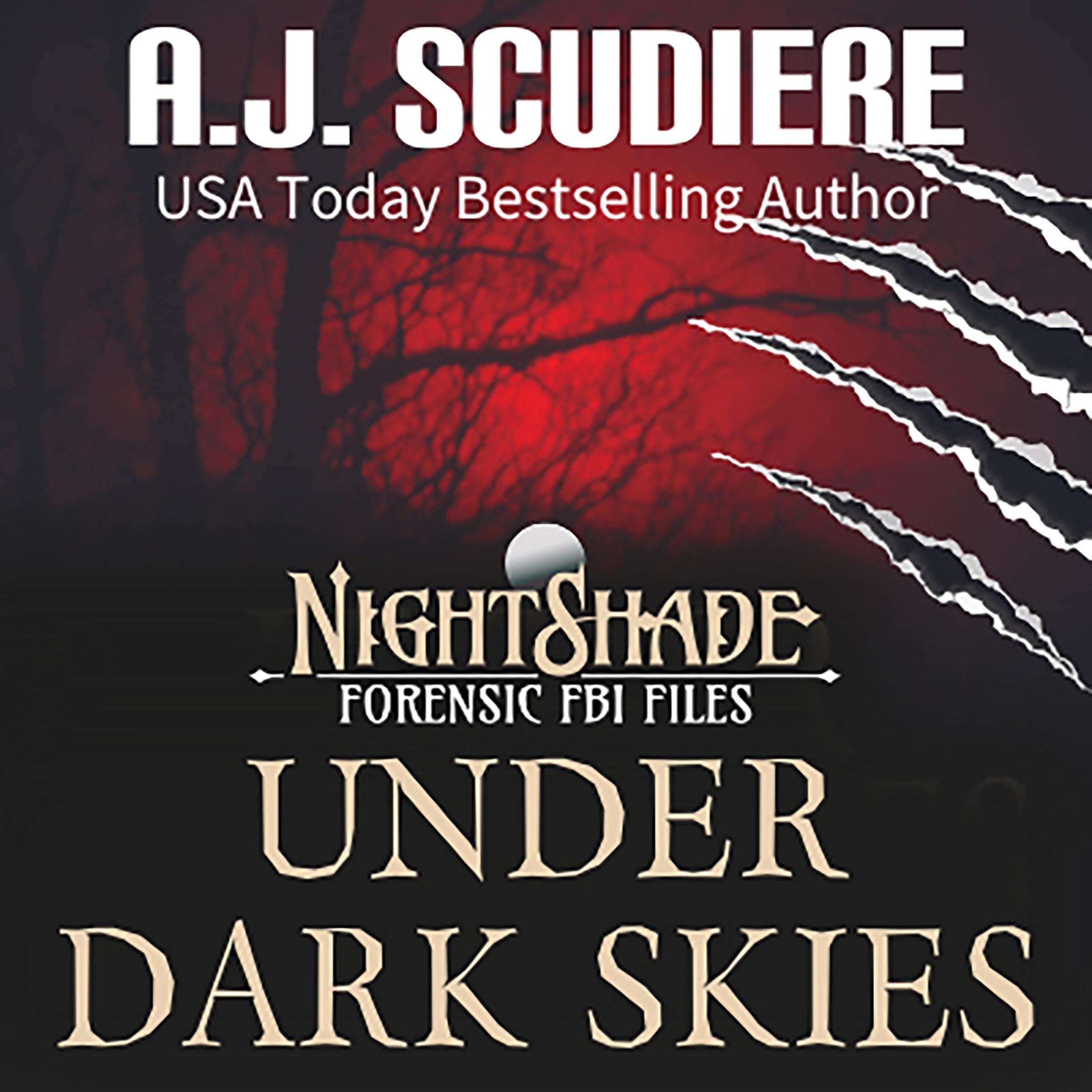 Cover art for Under Dark Skies