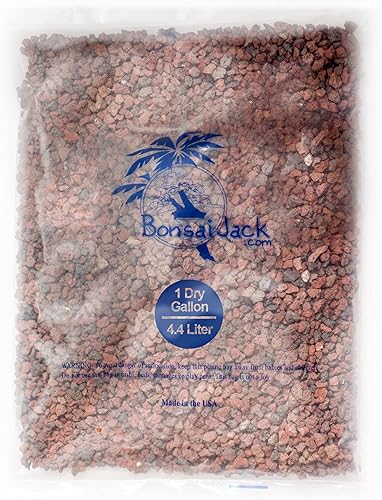 Aditivo de suelo de roca de lava hortícola rojogranate de 14 de pulgada para cactus, suculentas y plantas - Sin tintes - Roca volcánica 100% pura (1