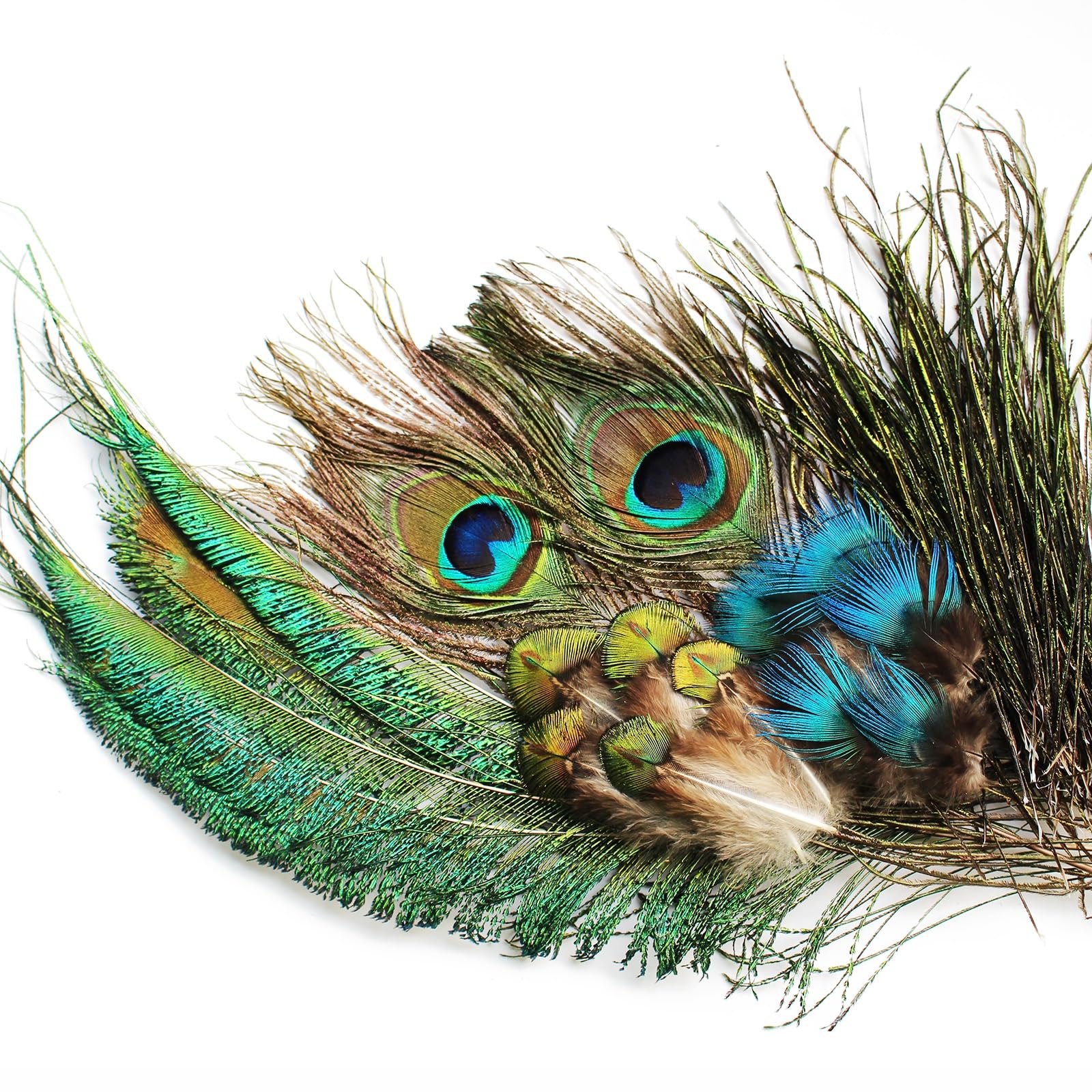 Tigofly Ensemble de plumes de paon pour nymphes mouches, mouches humides classiques