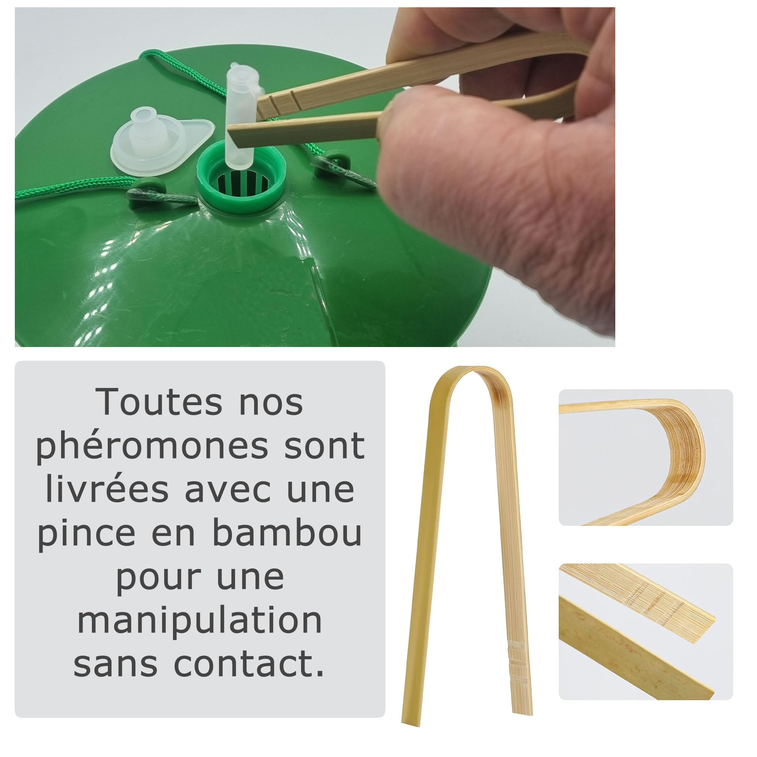 SOLUPHERO - 6 Phéromones Longues durées pour la pyrale du buis - 6 x 200 Jours