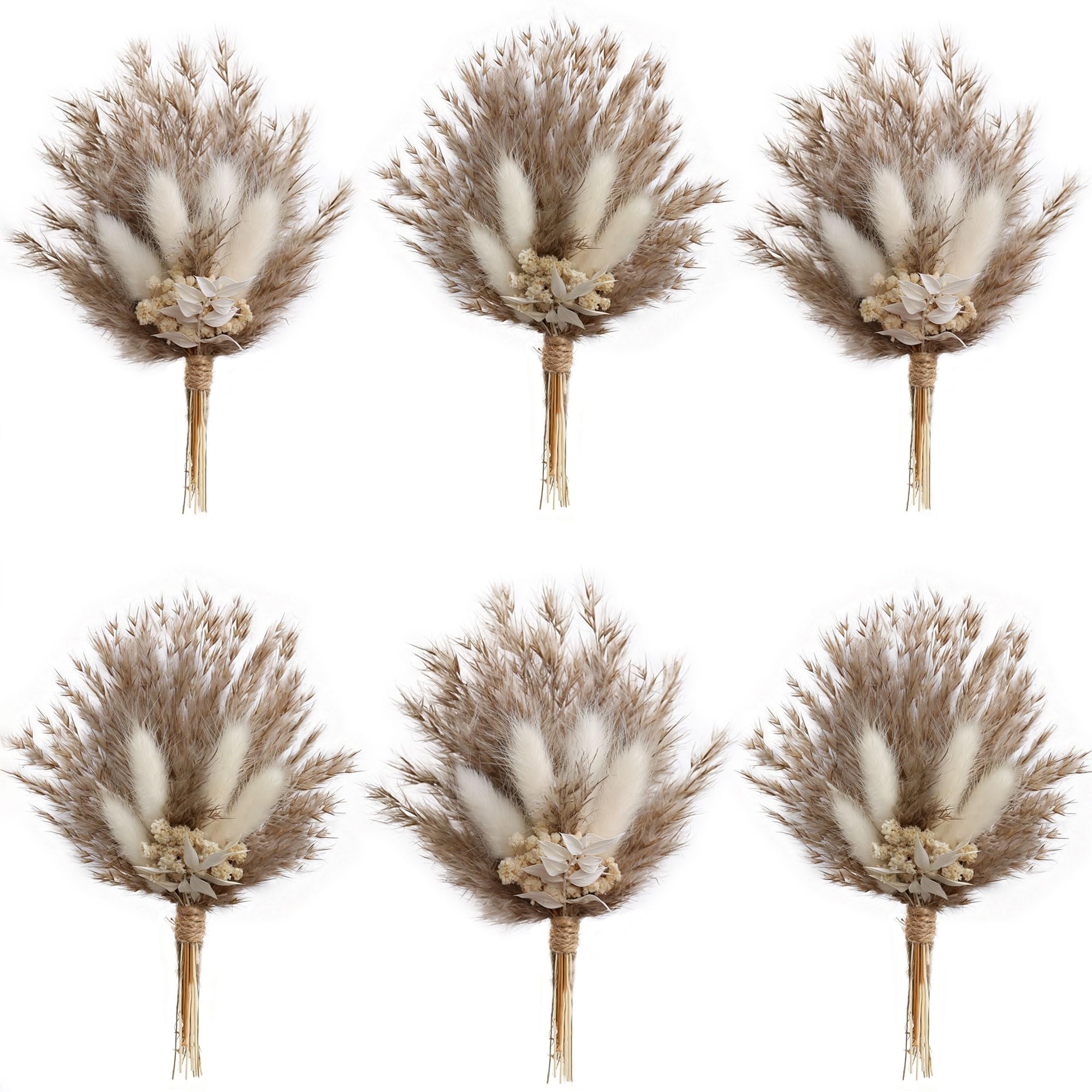 apmunik Mini Dried Flower Set White