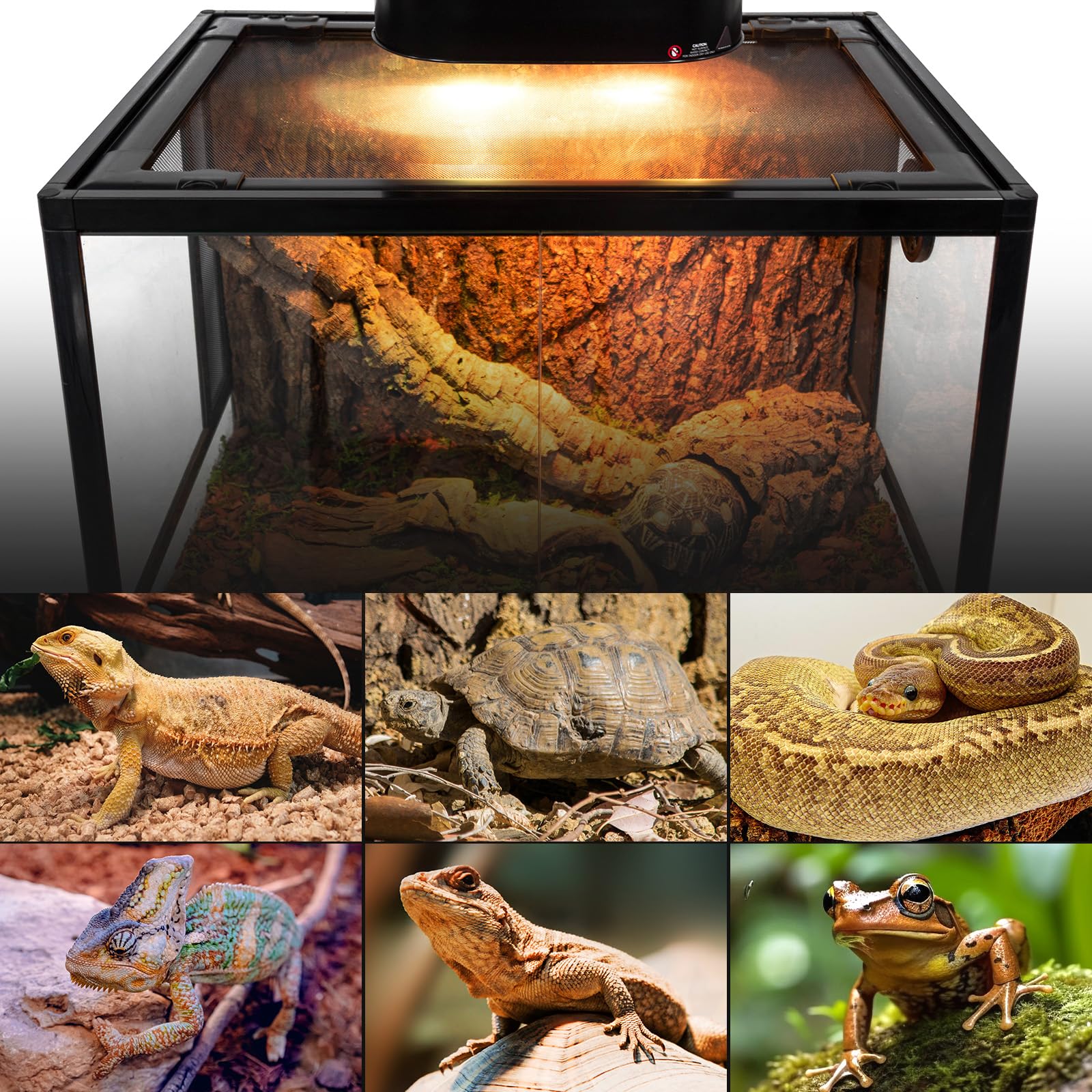 REPTI ZOO Dual Reptile Light Fixture with Dimming, Deep Dome Reptile Heat Lamp Fixture, UVB Light Dual Fixture Lamp Cap for Reptile Terrarium Tank - image 8