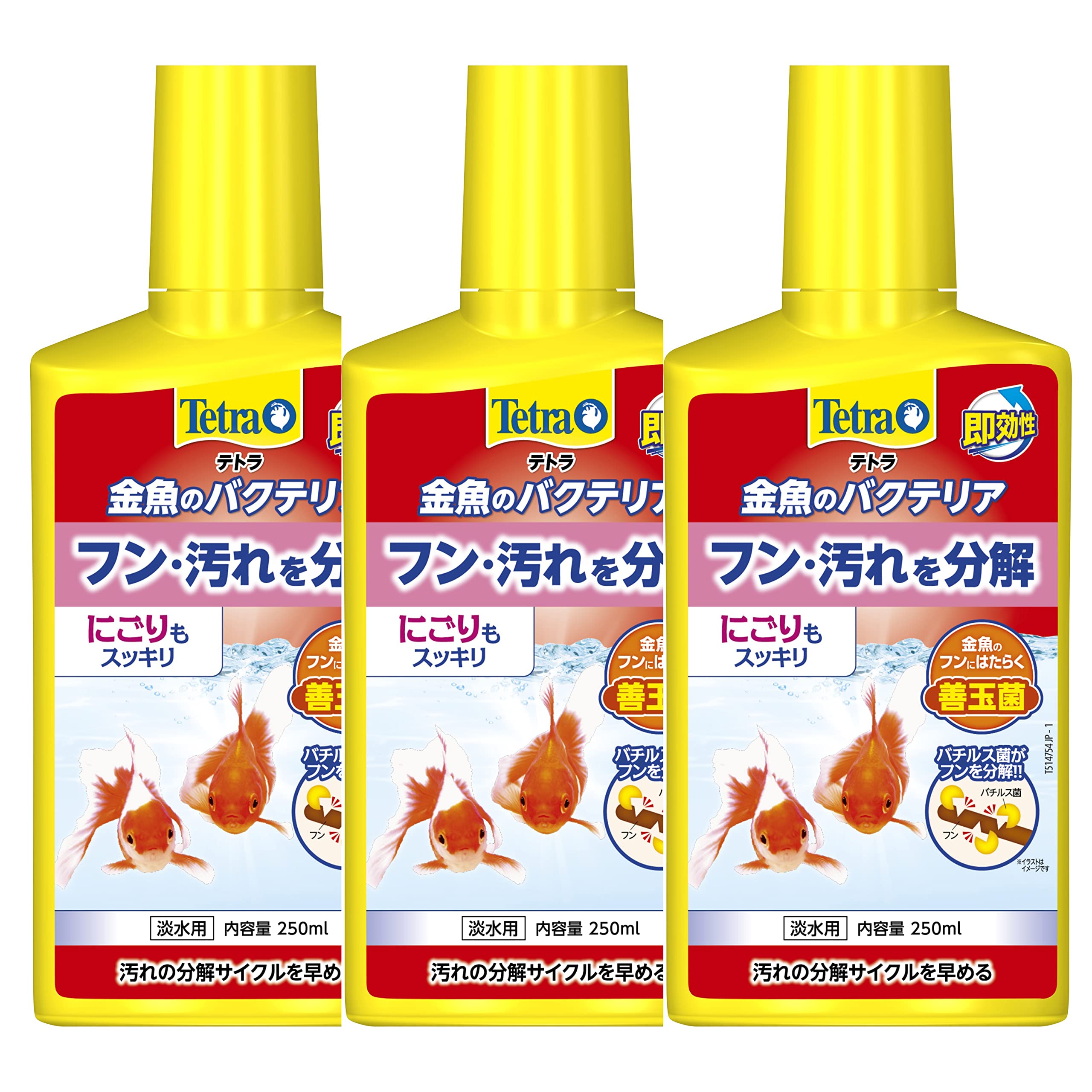 Amazon.co.jp: Tetra テトラ金魚のバクテリア250ml インドア 3本