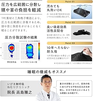 Amazon.co.jp: ヒツジのいらない枕 テンセル枕カバー付 まくら 低反発