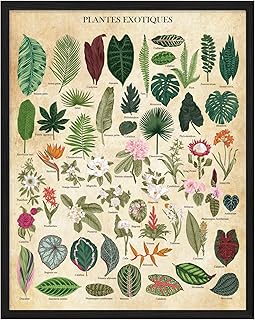 Vintage Plant Poster Plant Wall Art - One 11x14 Plant Print Plants Poster Vintage Botanical Prints Plant Posters Plant Pictures Vintage Flower Wall Art, Plant Art Vintage Nature Posters- Unframed