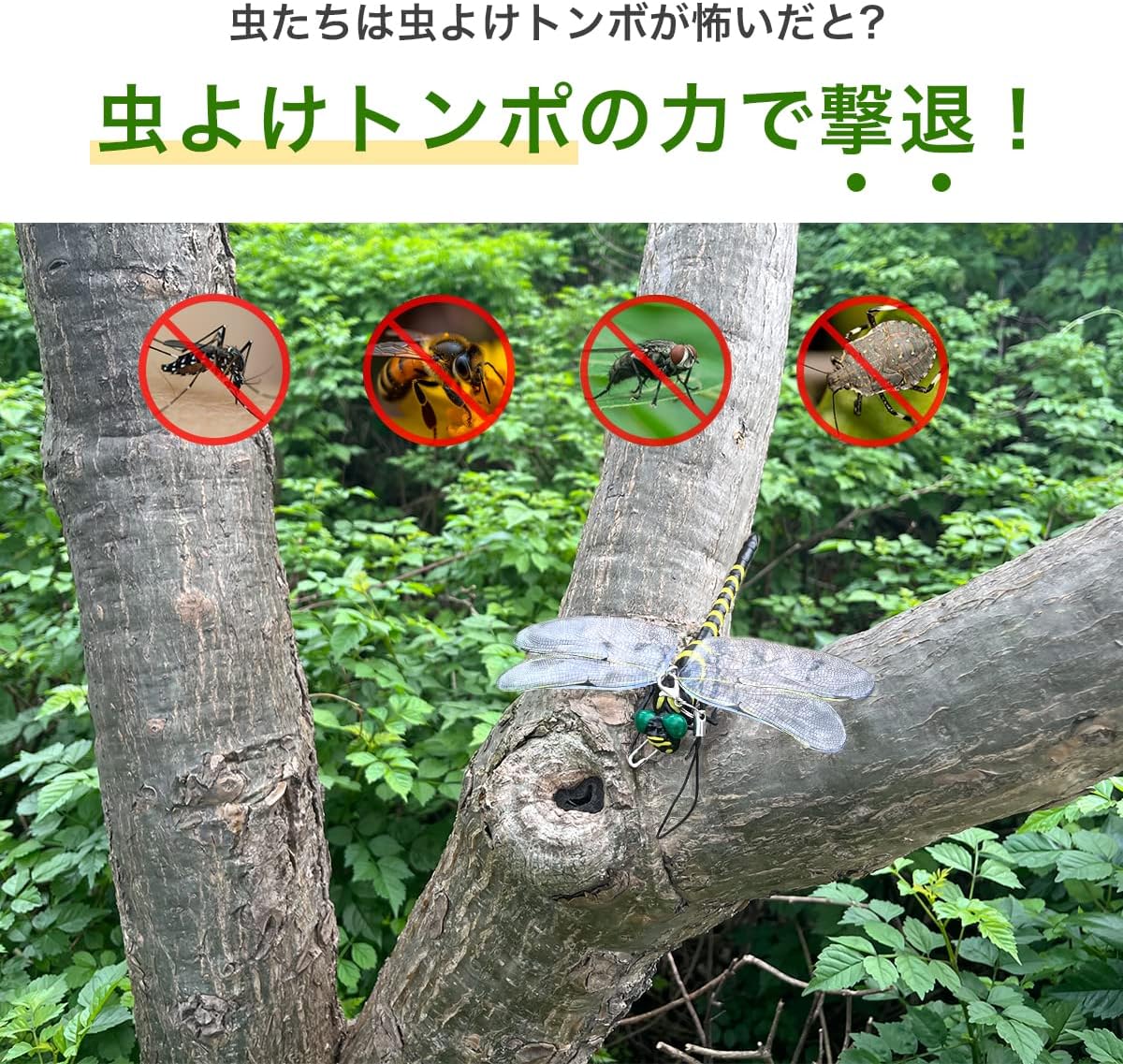 Chonomai トンボ モデル 虫除け【12×10.5CM 本物のトンボとそっくり】安全ピンとストラップ付き 精巧な包装 蜻蛉 虫避け PVC材質 登山 釣り キャンプ アウトドア 虫対策 屋外&屋内両用 (6匹)