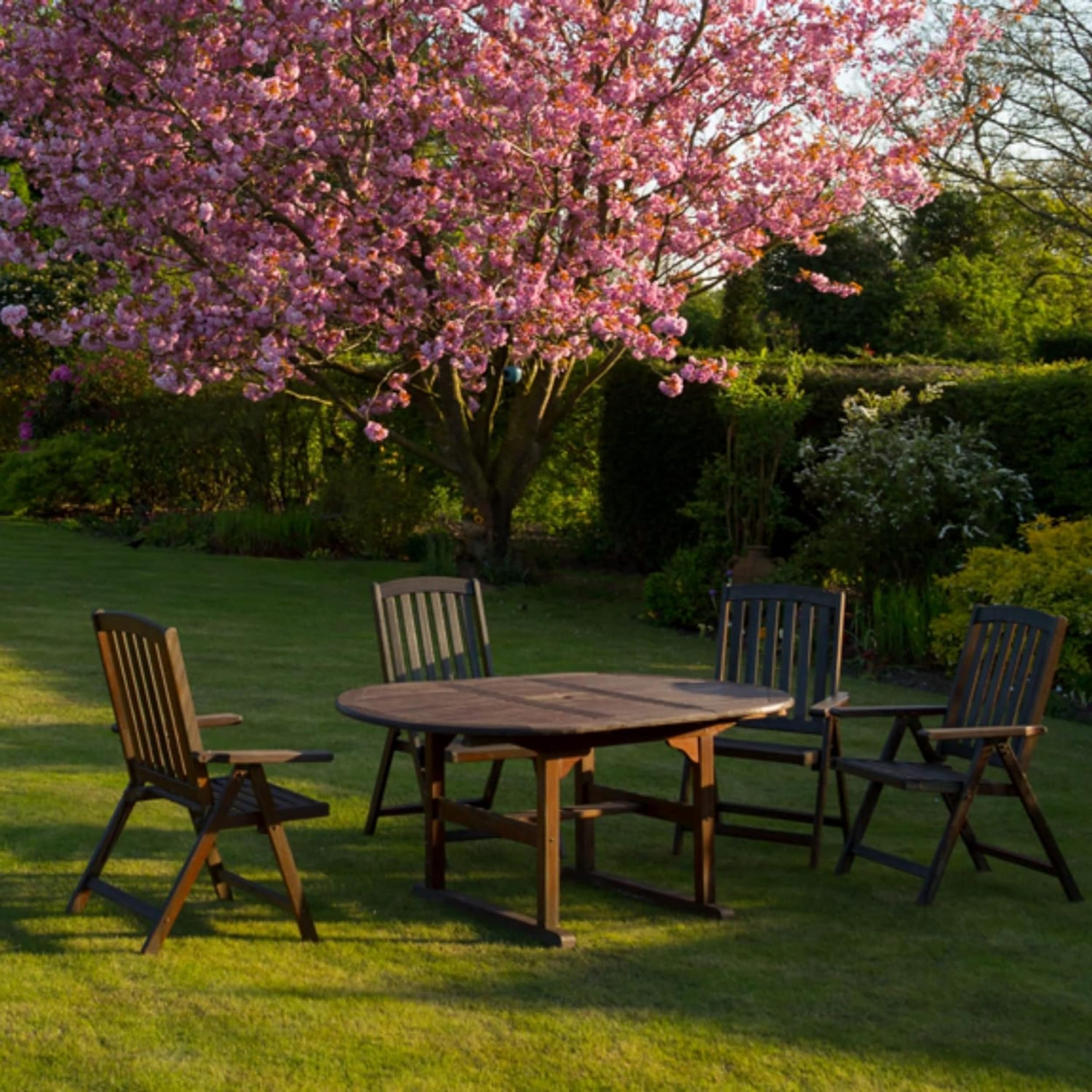 (Sol-éco) Huile Pure Tung | Protection et entretien du bois intérieur/extérieur | Contact alimentaire | Meubles de jardin, plan de travail, terrasse, cuisine, planches à découper, teck, parquet 1L