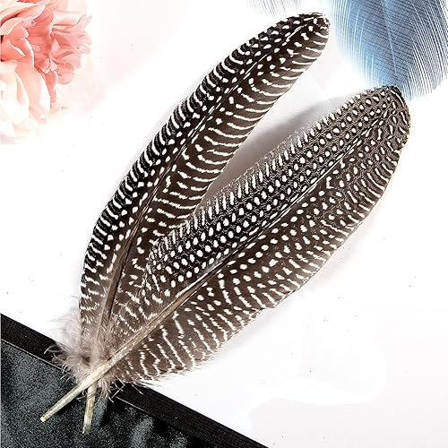 Miniatura 7 de THARAHT 24 plumas naturales manchadas de alas de aves de Guinea de 6 a 8 pulgadas a granel para manualidades, ropa, joyería, decoración de