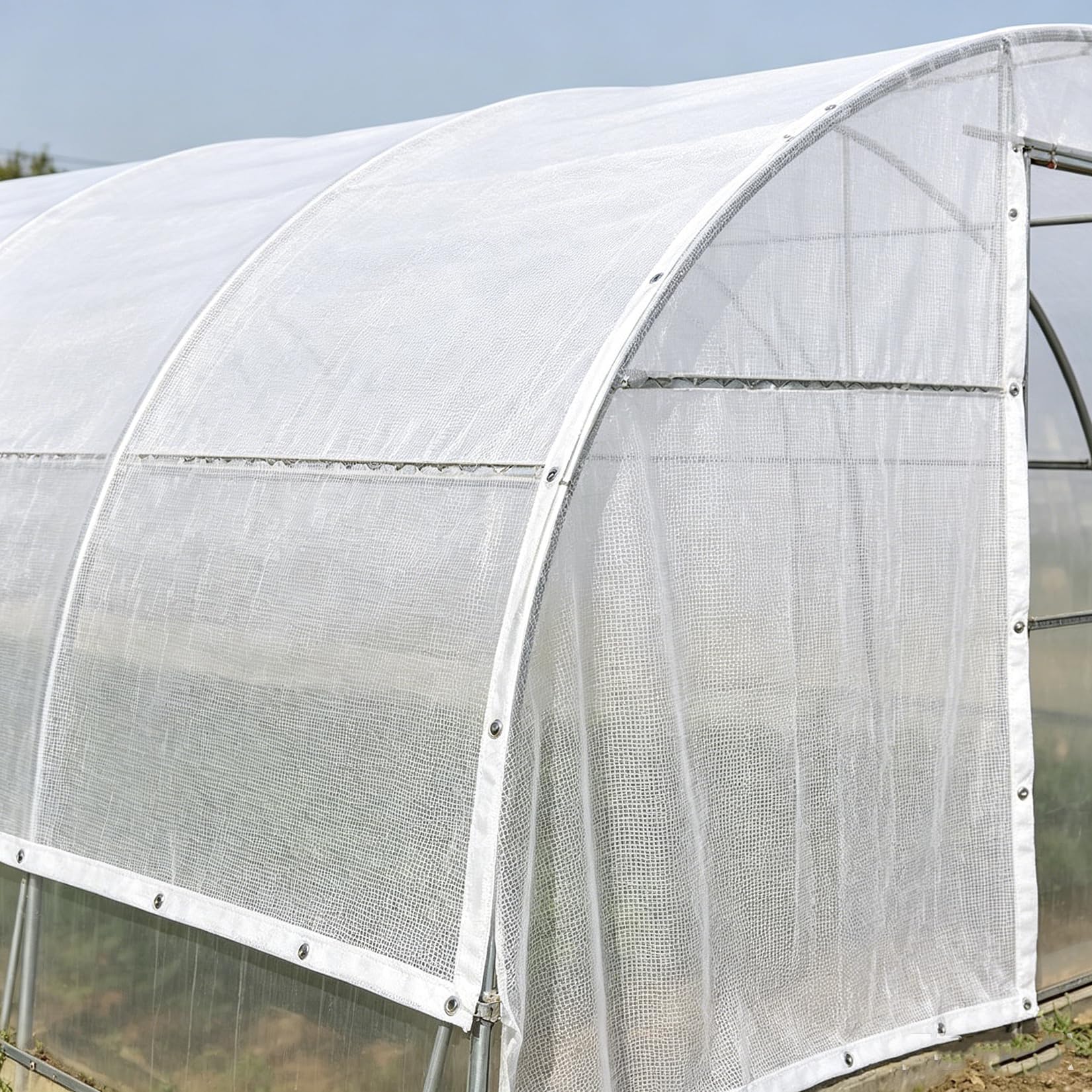 8m x 8m Malla de Sombra 50% - Blanca con Ojales, HDPE UV - para Terraza, Jardín, Invernadero, Piscina| Privacidad Protección Solar Resistente al Agua