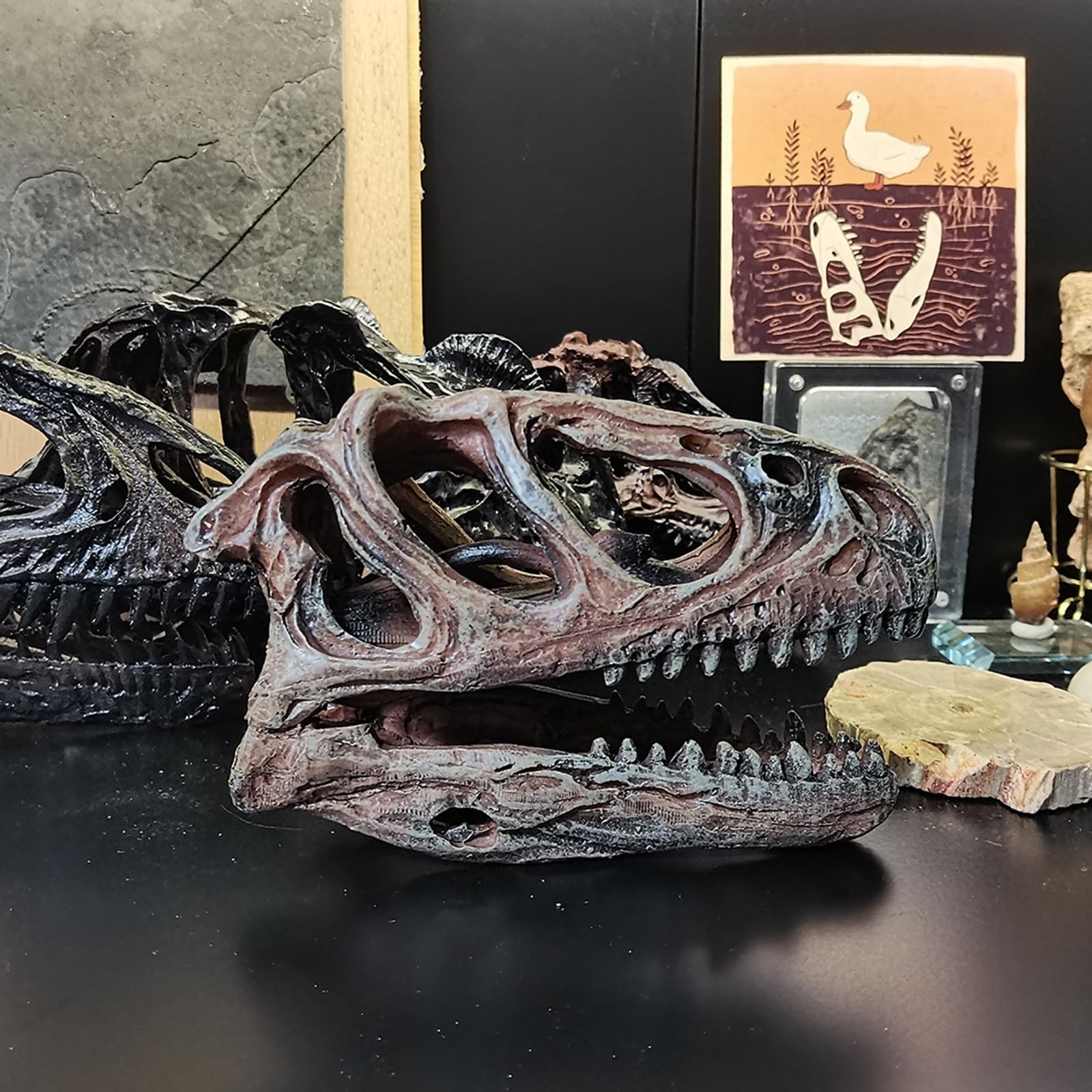 Rzemiosło z żywicy Tyranozaur Rex czaszka skamieniałość dinozaur czaszka model, dinozaur ząb czaszka skamielina, rekwizyty fotograficzne narzędzie dydaktyczne