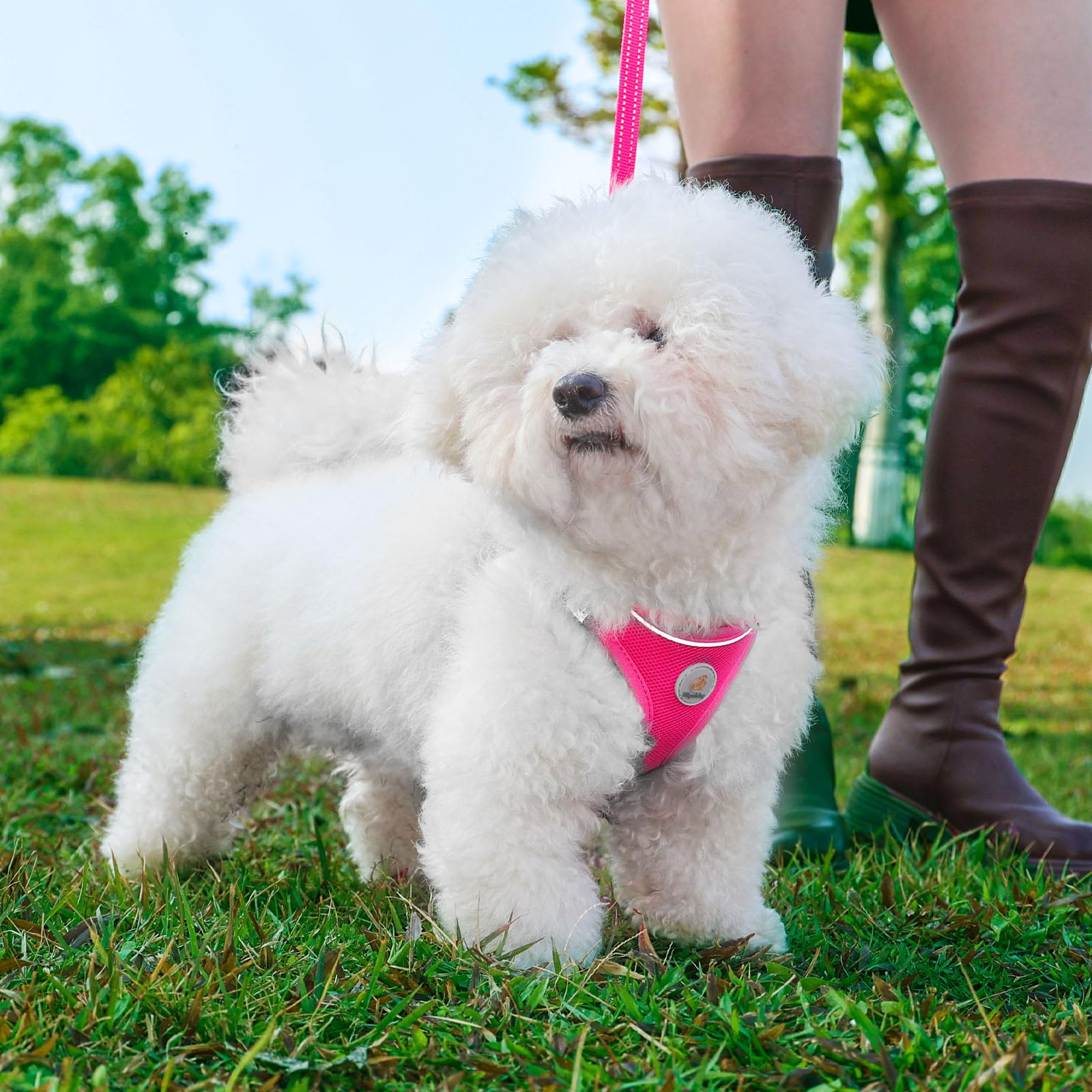 Juego de arnés para perro con correa, arnés ajustable para perro sin tirones, arnés de malla suave reflectante para cachorros, chaleco para caminar, correr, entrenar, perros pequeños, medianos y