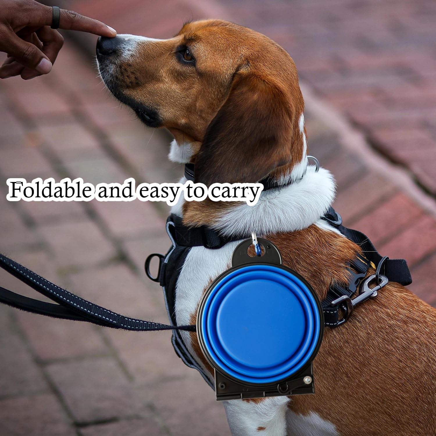 Bojueshaw Collapsible Dog Silicone Bowls,2-in-1 Portable Pet Travel Bowl with Carabiner for Puppy Hiking,Camping,and Outdoor Adventures(Blue) - Image 3