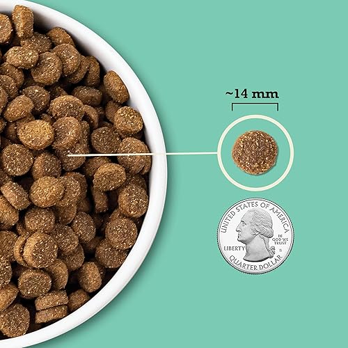 Miniatura 5 de ACANA - Alimento seco para perros, cereales enteros, receta de cordero y calabaza, 4 libras