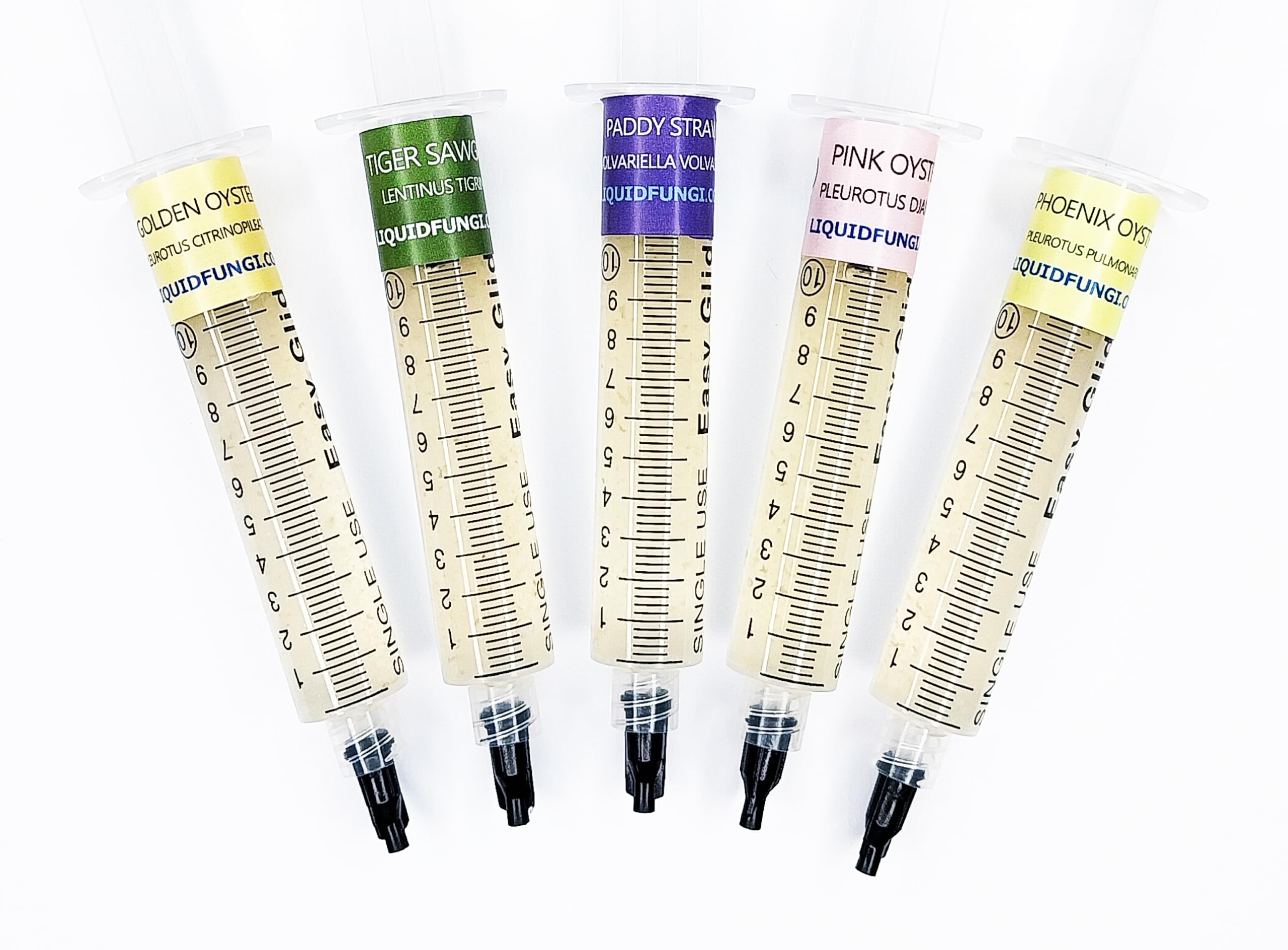 Liquid Culture Syringe 5 Pack - Warm Weather Mushroom Mycology Starter Pack - Grow warm weather mushrooms on agar, grain, straw, or standard master