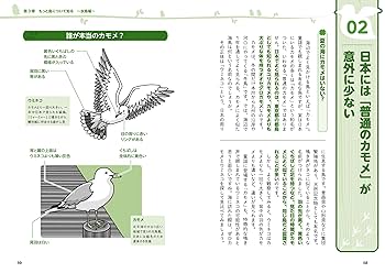【4冊セット】眠れなくなるほど面白い 図解 カラスの話 Amazon.co.jp: 眠れなくなるほど面白い 図解 カラスの話: 明日