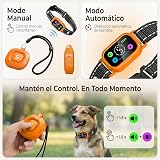 Ver la foto 3