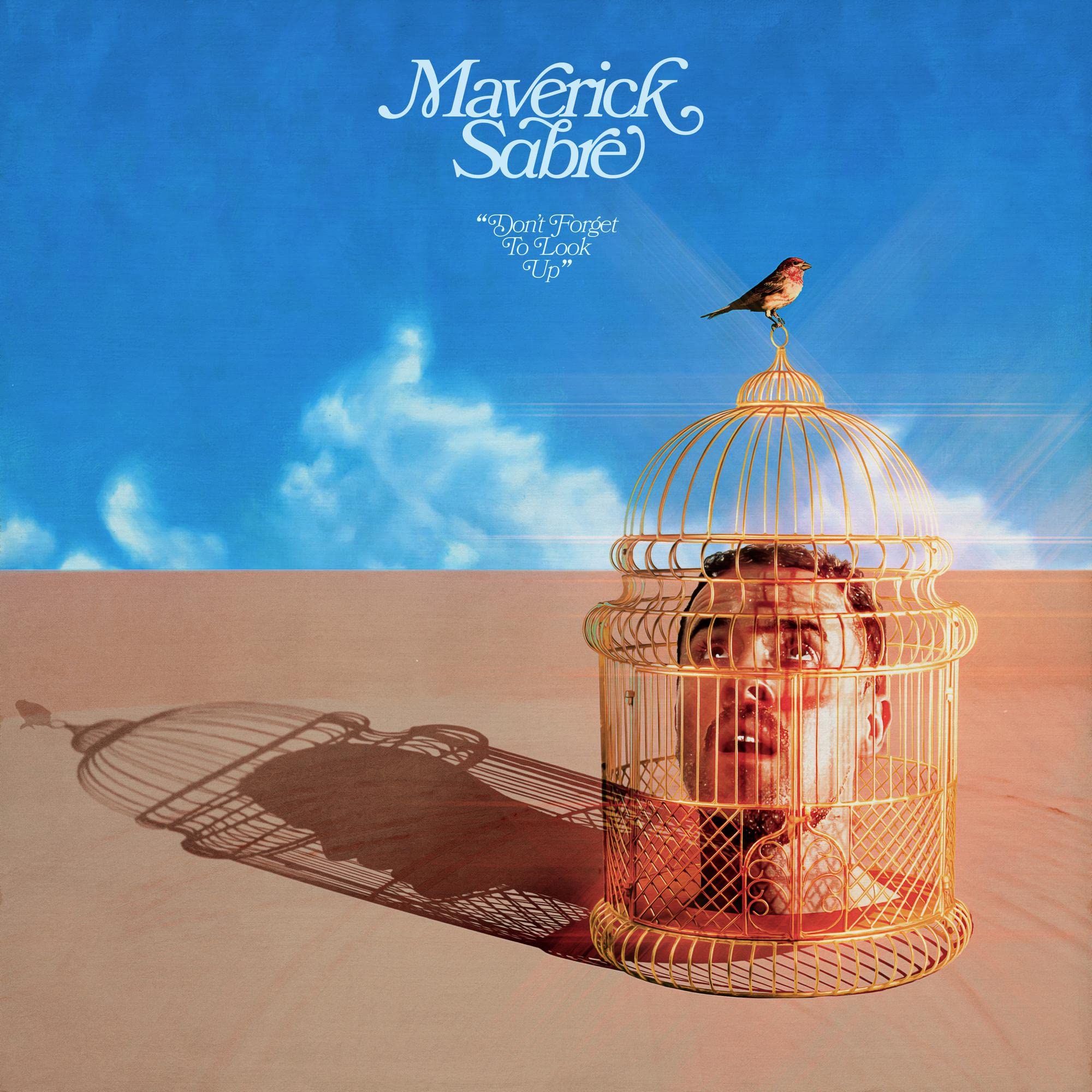 Don't Forget To Look Up (2LP) [VINYL]