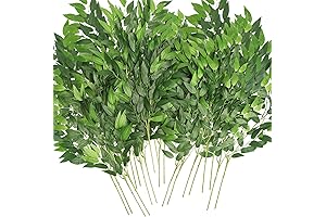 Artificial Italian Ruscus Greenery Stems
