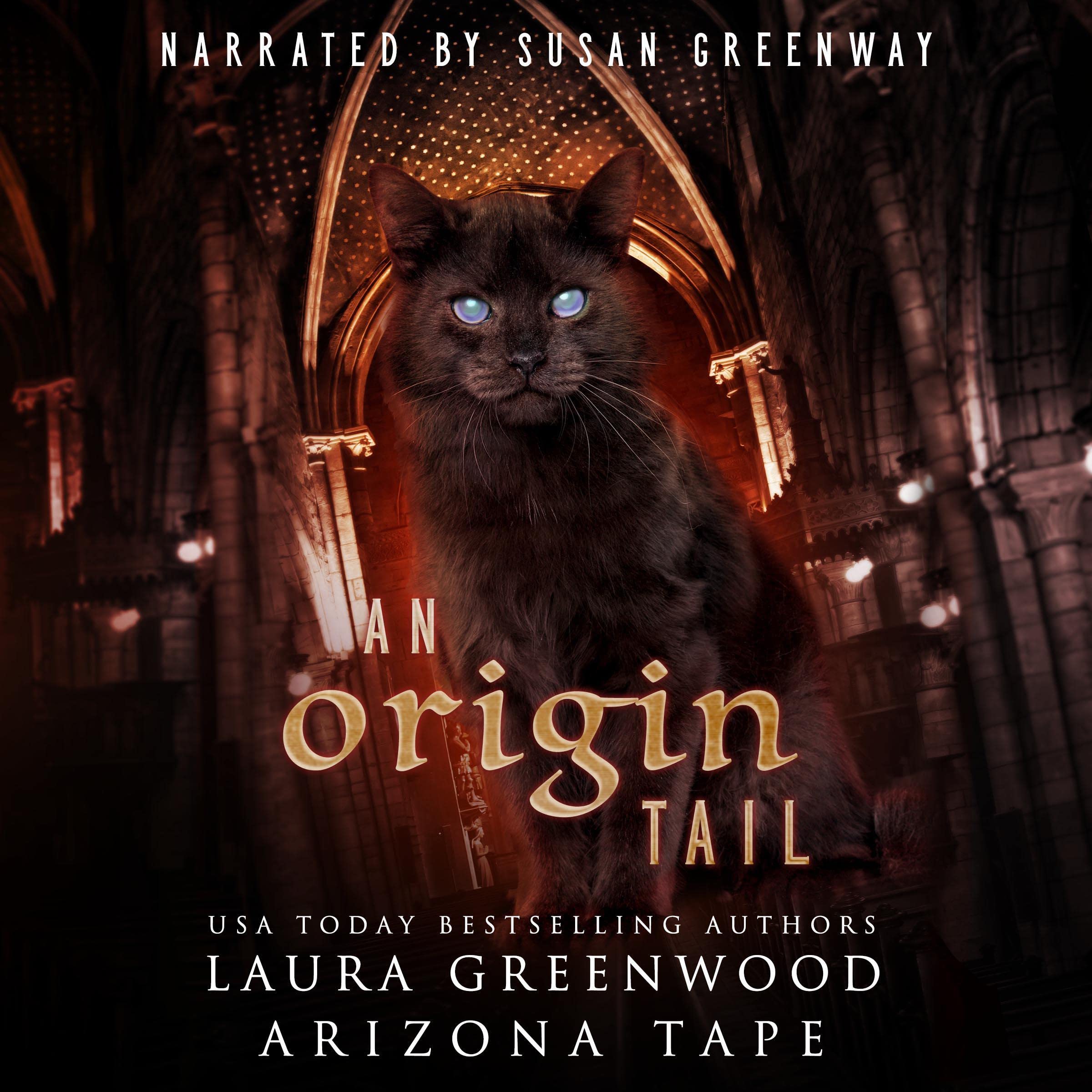 Cover art for An Origin Tail
