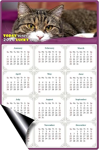 Miniatura 2 de Calendario magnético 2025 – Imanes del calendario – Today is my Lucky Day – Resistente a la decoloración, desgarros y agua – Temática de gato 022