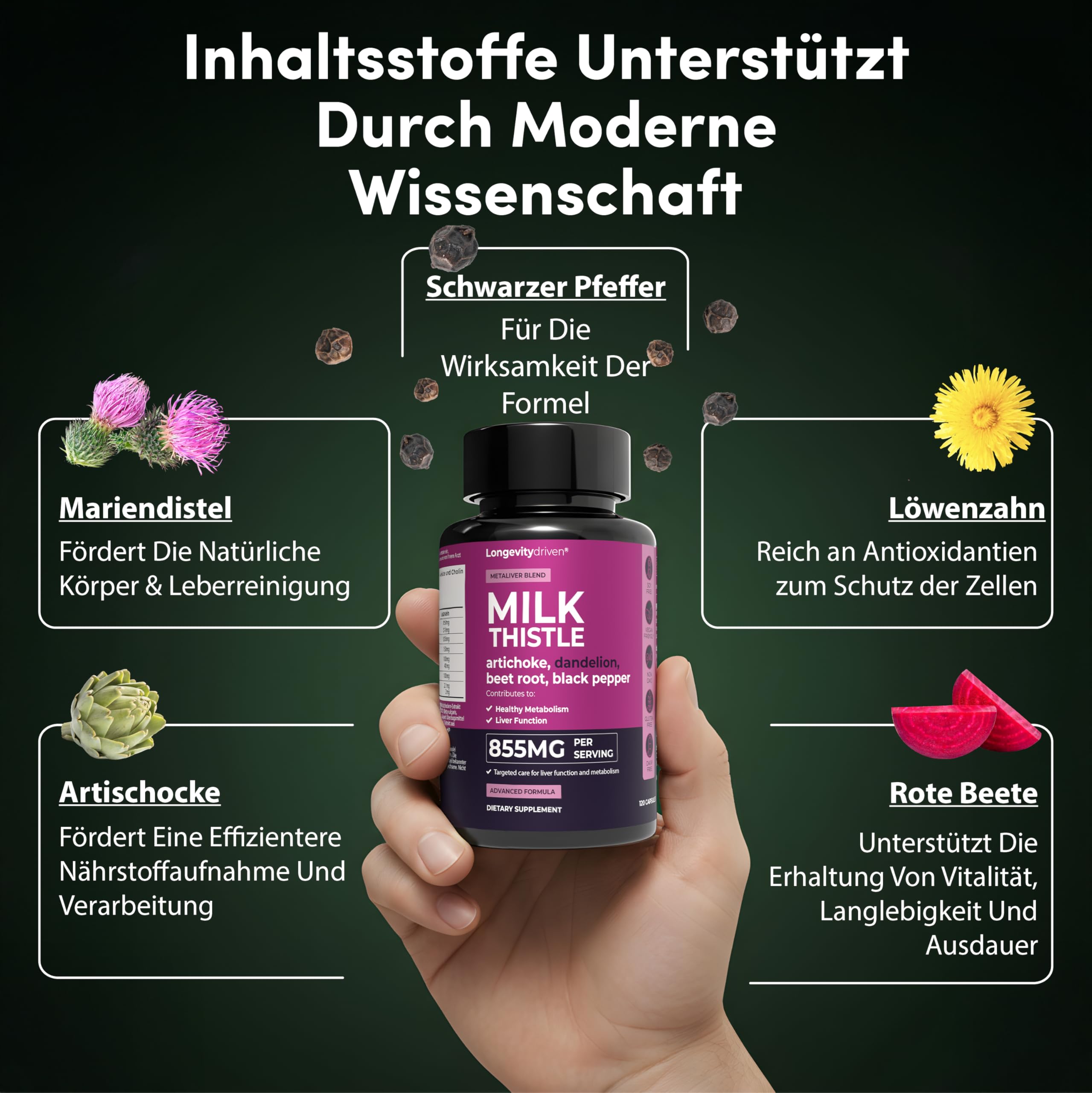 Mariendistel Leber-Komplex Hochdosiert mit Silymarin, Cholin & Artischocke | Cholin trägt zur normalen Leberfunktion & zum Fettstoffwechsel bei; mit Löwenzahn, Rote Bete & Piperin; 120 vegane Kapseln