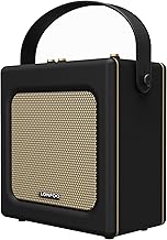 LONPOO Enceinte Bluetooth rétro Aspect Cuir avec Batterie, 20 W, Lecteur USB, entrée auxiliaire, Prise Microphone 6,5 mm, Charge de Type C, Noir