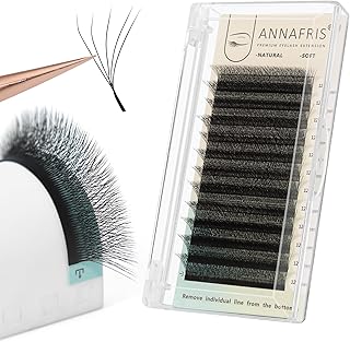 ANNAFRIS 5D Premade Fan W Shape Eyelash Extensions 0.07 D Curl 9-13mm Mix Volume Self Fanning False Lashes Makeup Supplies Professional Use Lash Extension(0.07 D, 9-13mm Mix)