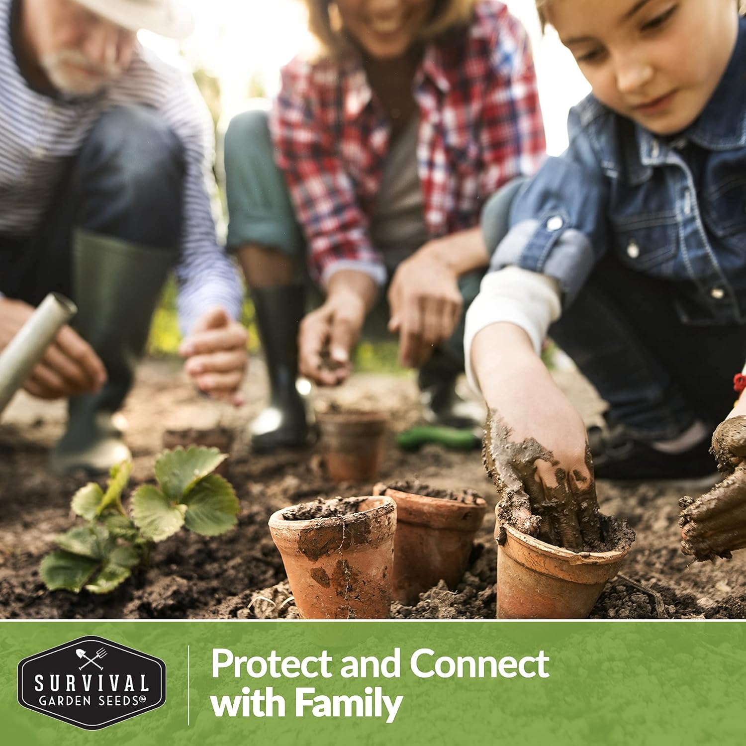 Survival Garden Seeds Home Garden Collection II Vegetable Seed Vault - Non-GMO Heirloom Survival Garden Seeds for Planting - Waterproof Packaging for Long Term Storage - 30 Varieties of Vegetables : Patio, Lawn & Garden