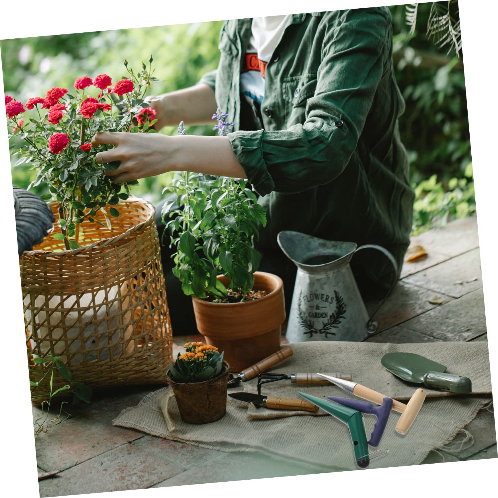 Piantabulbi da Giardino Set 3 Pezzi in Acciaio Inox | Semina e Trapianto nel Terreno, Design Ergonomico, Abs e Legno, Uso Manuale Pratico
