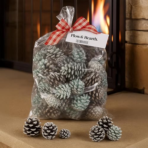 Fireplace Color Cones, Festive Fun Rainbow Flame Changing Pine Cones,