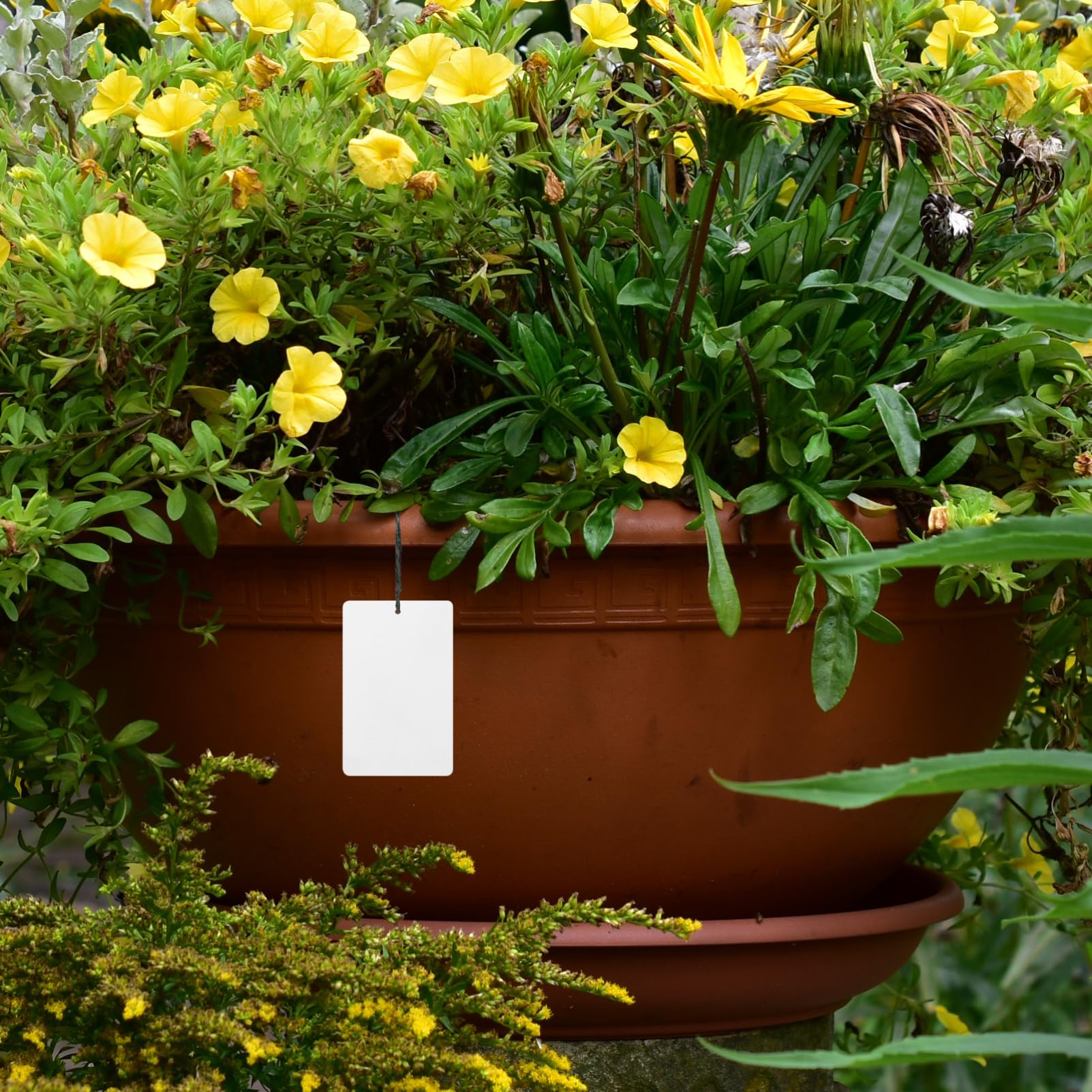 BESPORTBLE 100stücke Aluminiumpflanzenschilder Wetterfeste Pflanzenetiketten Für Garten Blumen Und Bäume Leicht Tragbar Und Wiederverwendbar Für Gartenliebhaber