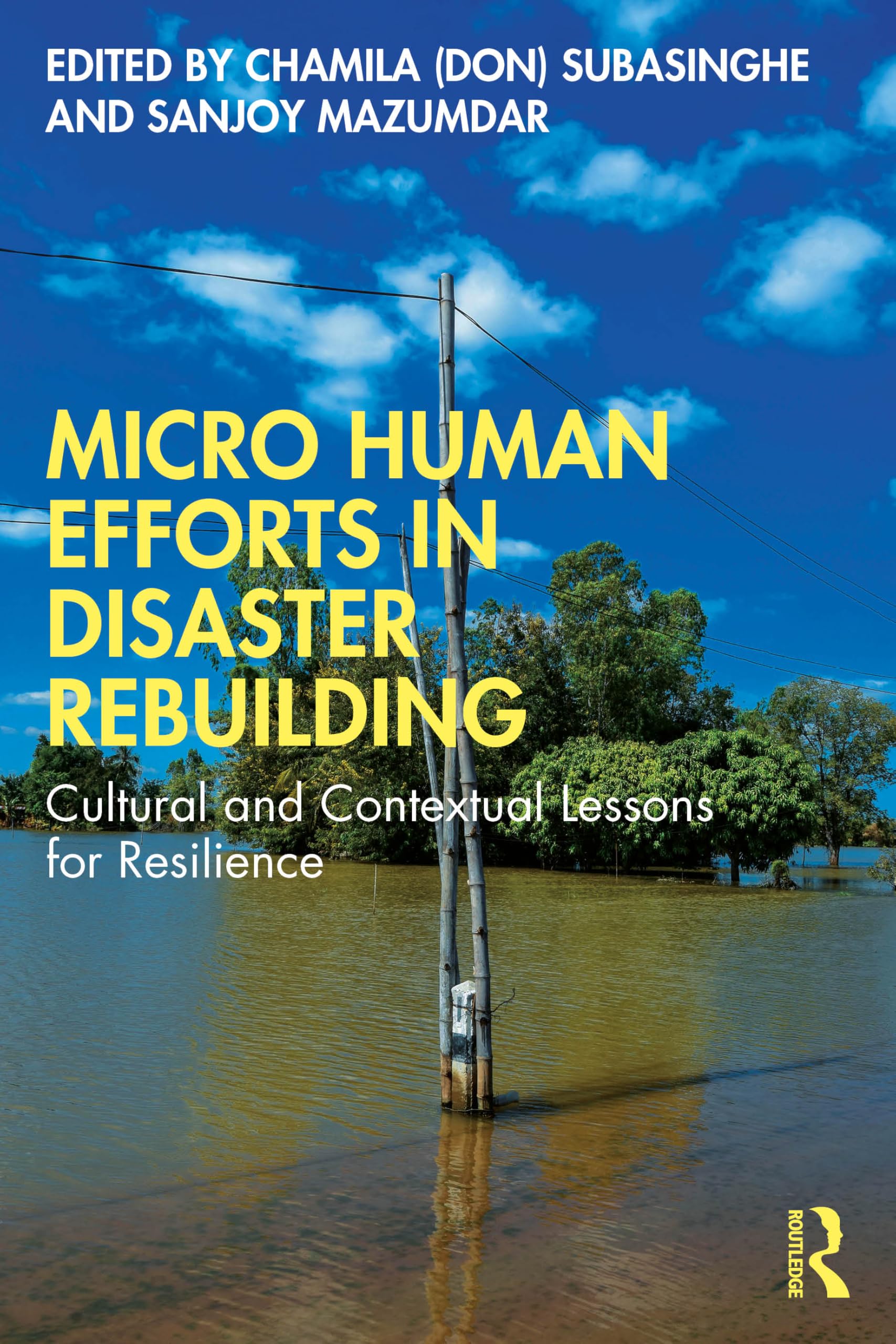 Micro Human Efforts in Disaster Rebuilding (Paperback Book)