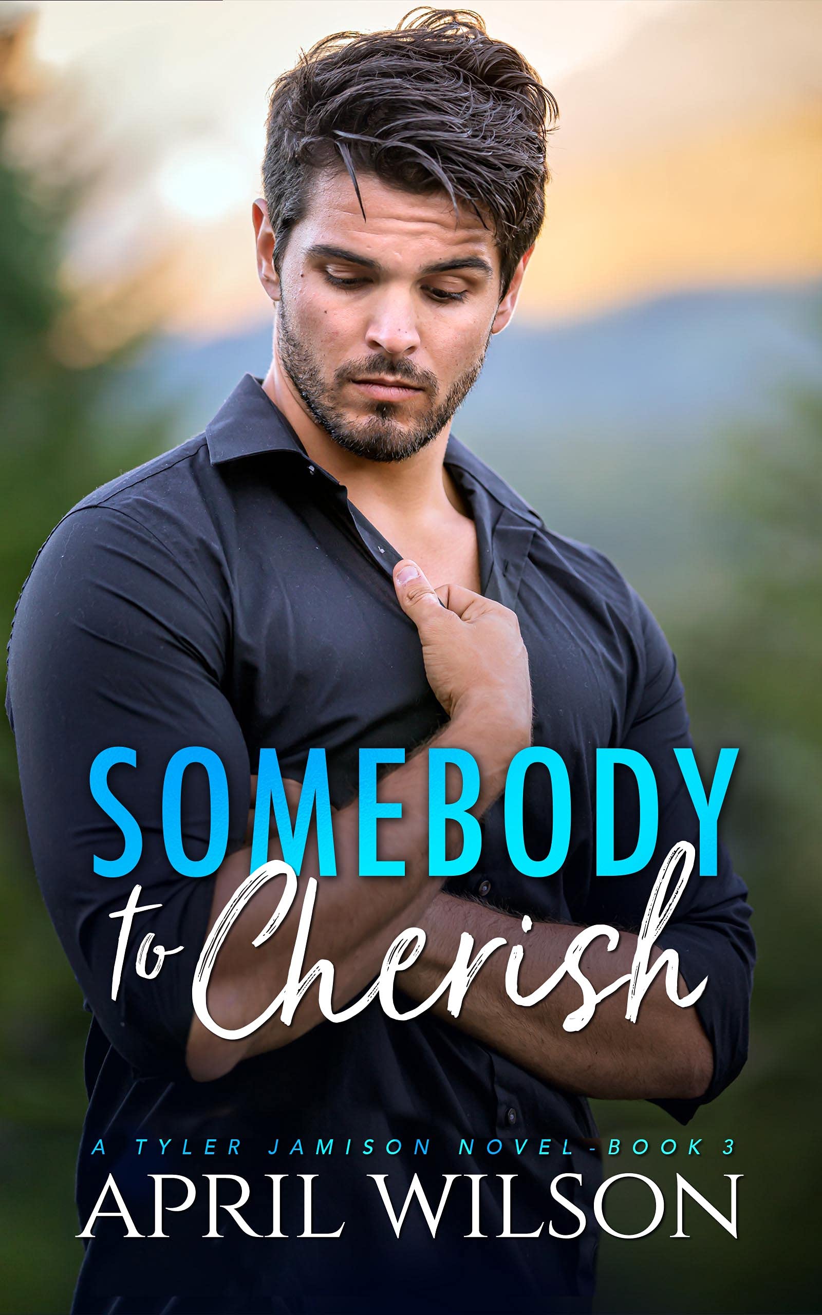 Somebody to Cherish: An Age Gap Protector Gay Romance (A Tyler Jamison Novel Book 3)