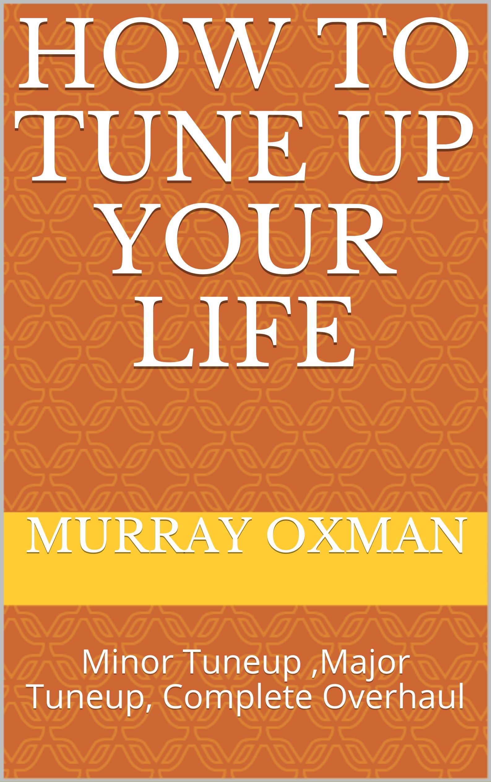 How to Tune Up Your Life: Minor Tuneup ,Major Tuneup, Complete Overhaul (The Nice Life Series Book 2)