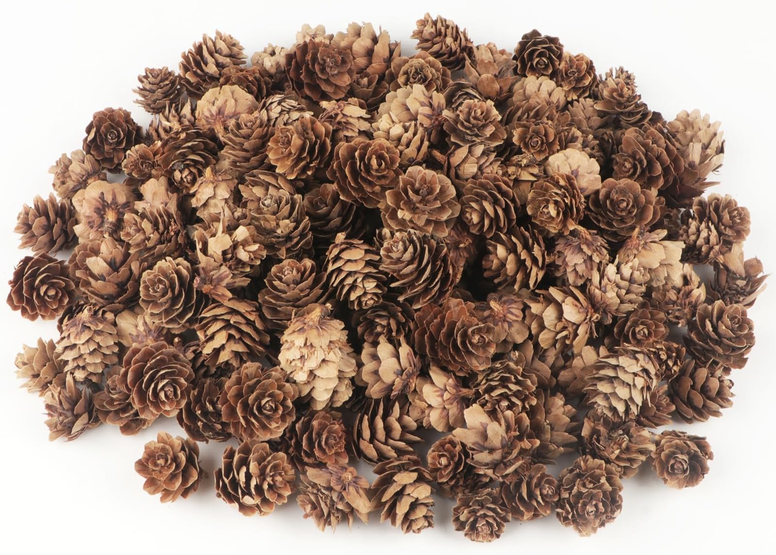 120 PCS Pine Cones Decorations, Natural Pine Cones Bulk - Mini Pine Cones Christmas Pine Cones for Table Christmas Tree Crafts Gifts Thanksgiving Fall and Xmas Home Decor