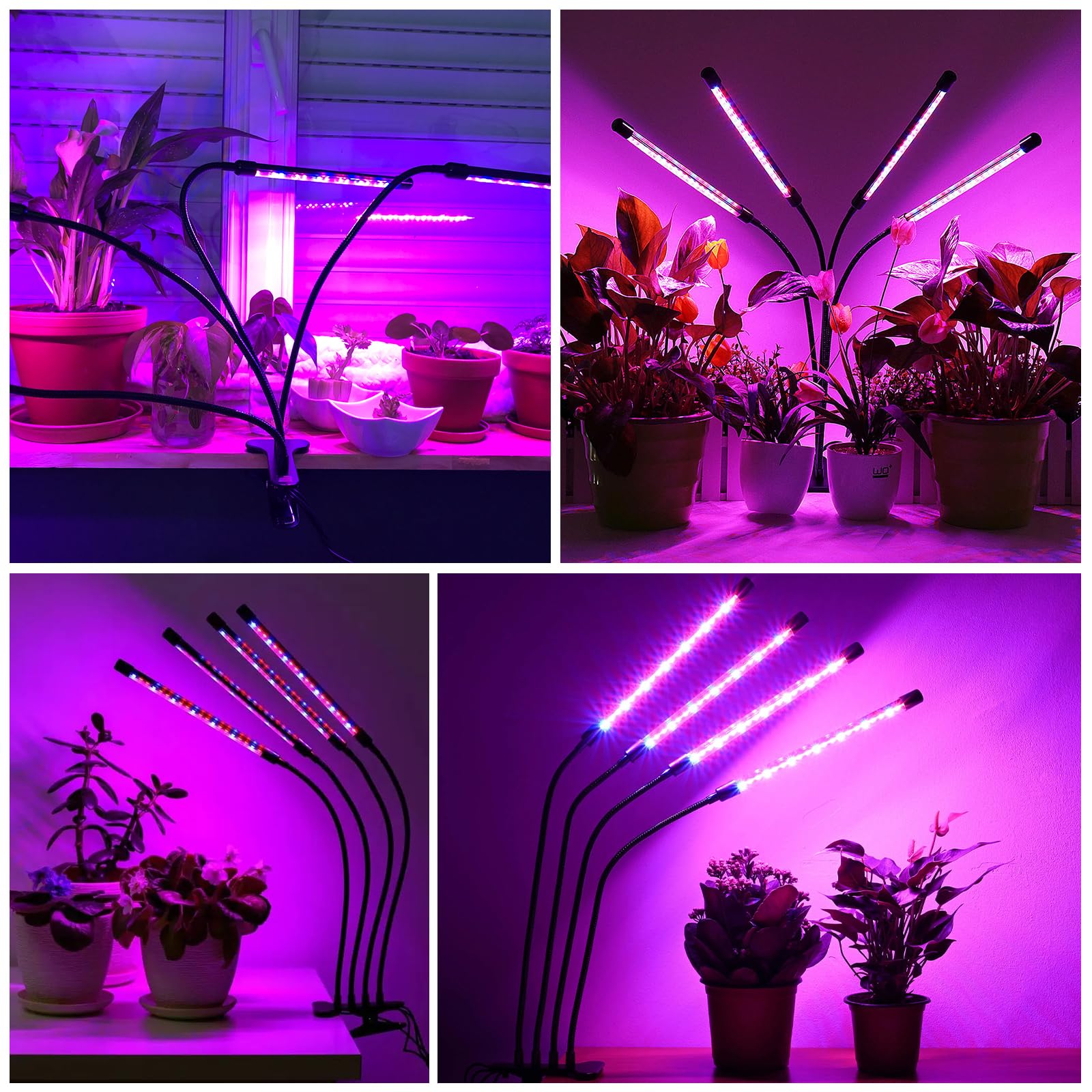 EWEIMA 80 LEDs Lampe de Croissance à 360° Éclairage Horticole Avec, 4 Têtes Lampe Croissance Spectre Complet Avec Chronométrage AUTO - ON/OFF 4H / 8H / 12H