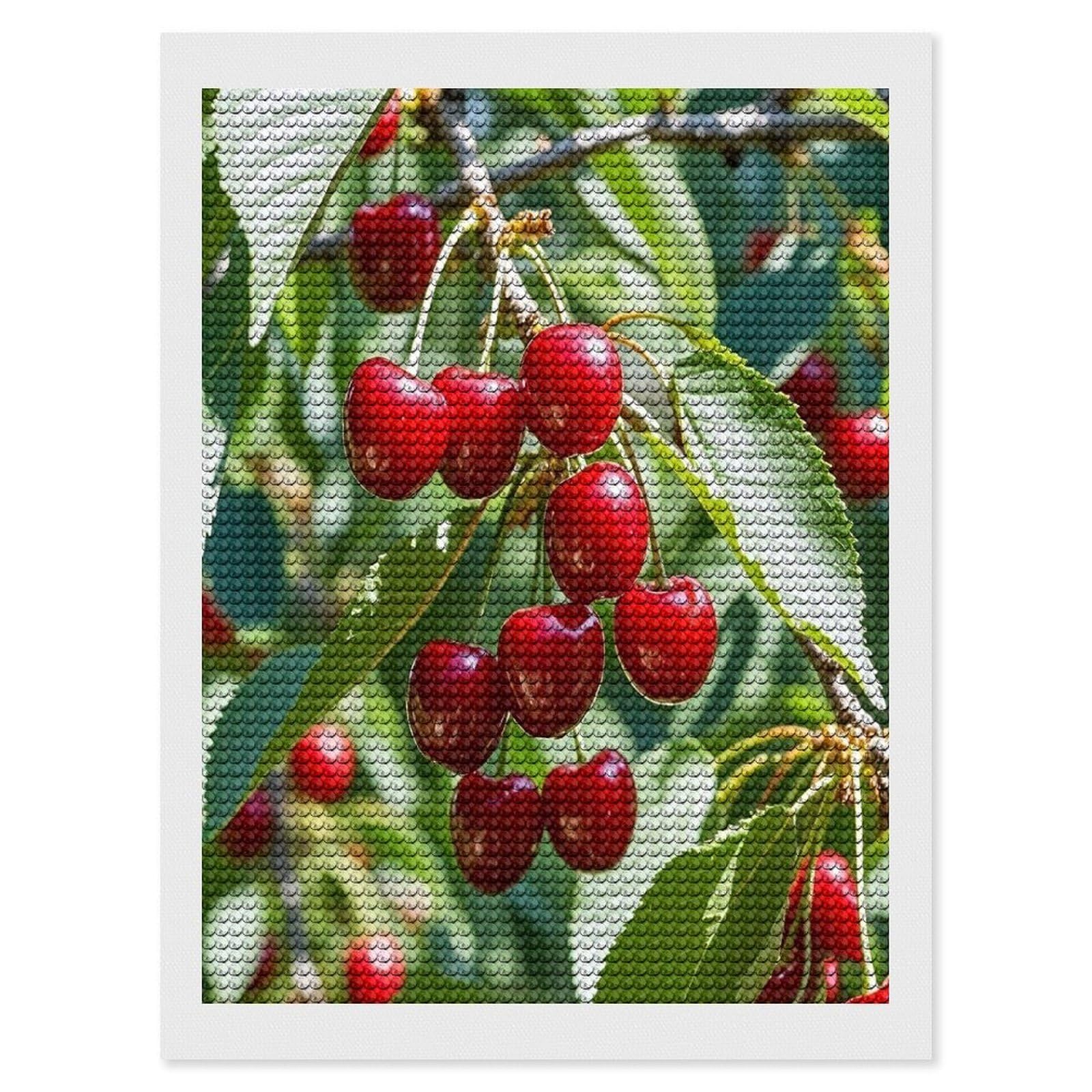 FekiLoot Cherry Diamond Painting Kits for Adults Round Paint with Diamonds Pictures Gem Art Painting Kits Personalized Diamond Art Full Drill for Beginners Home Wall Decor