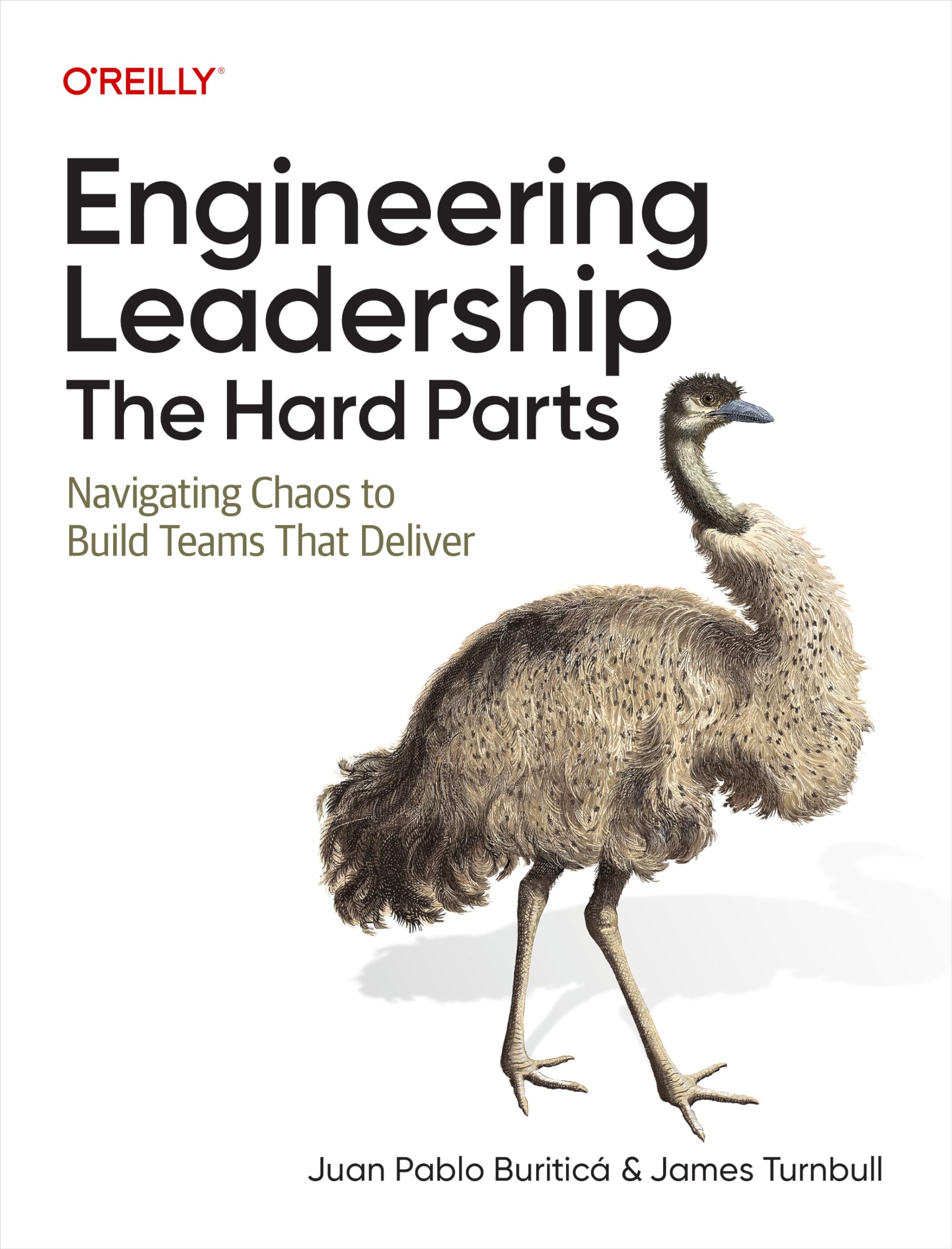 Engineering Leadership: The Hard Parts: Navigating Chaos to Build Teams That Deliver (English Edition)